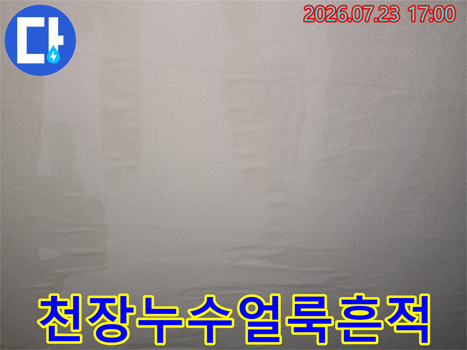 물에 젖었다가 건조되면서 남은 천장의 누수 얼룩-피해 부위