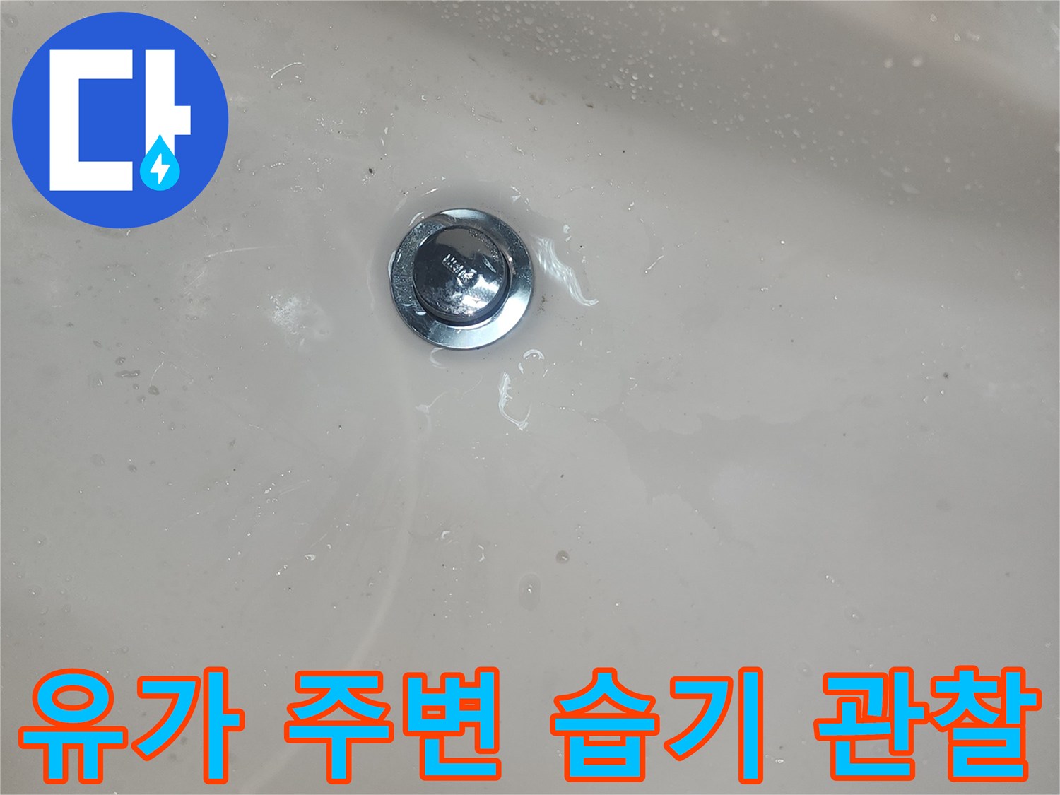 욕실-배수구-주변-물기-흔적