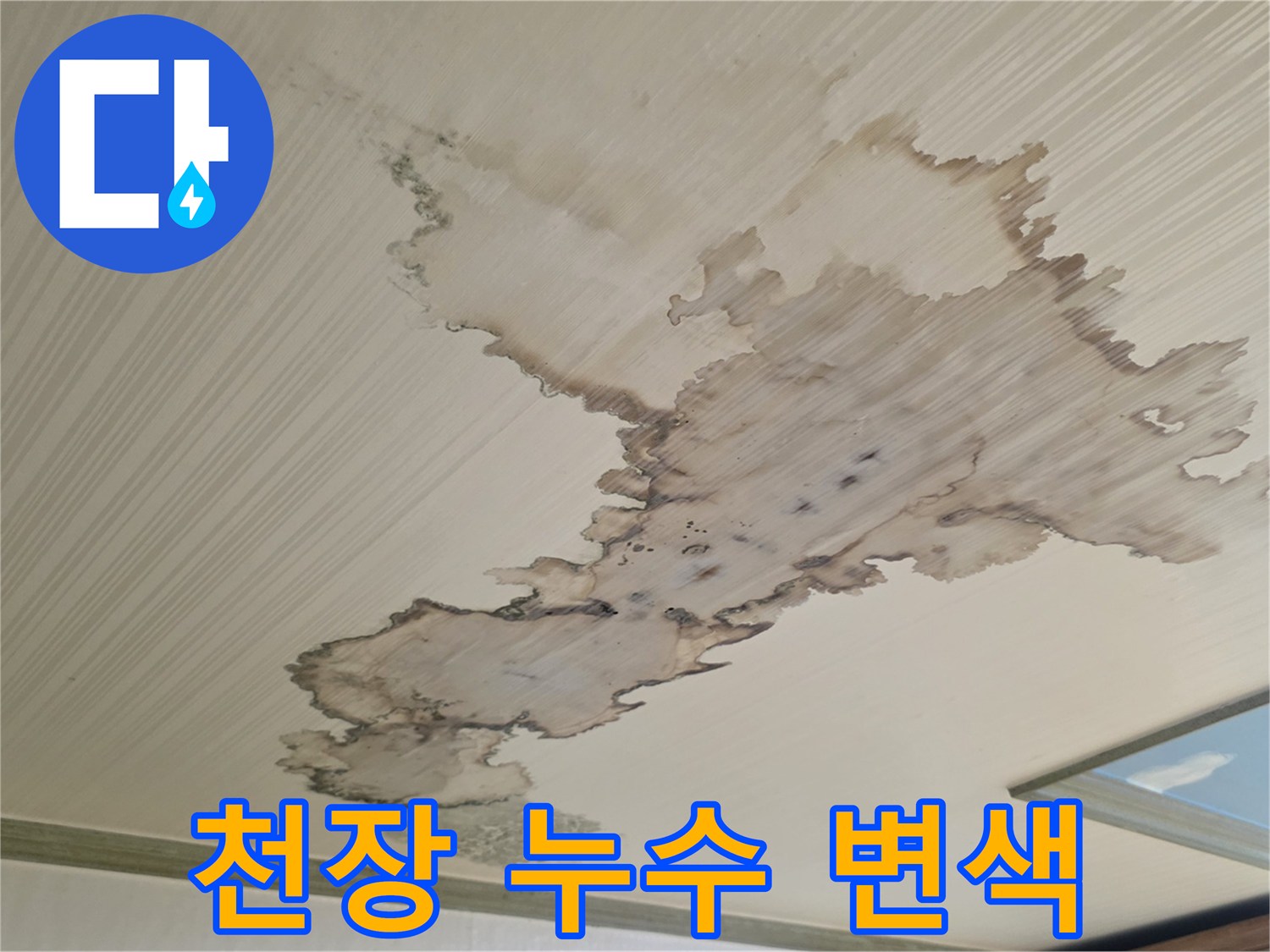 넓게 번진 갈색 물 얼룩이 특징인 천장 마감 부위
