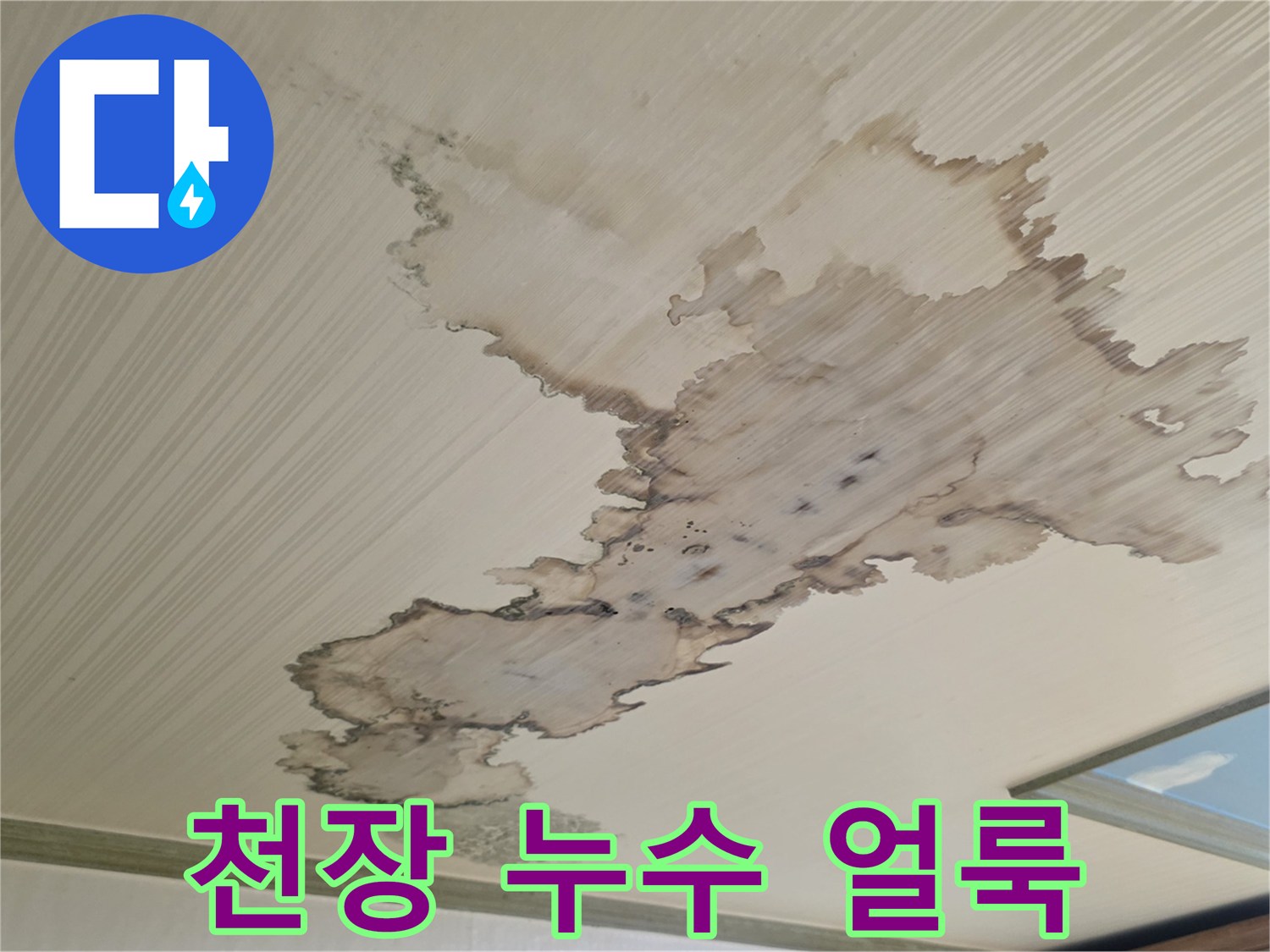 성북구 정릉동 빌라-아래층 천장에 발생한 광범위한 물자국과 습기 흔적