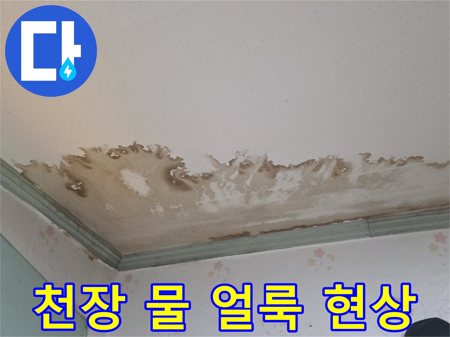 성북구 정릉동 빌라-천장 벽면의 짙은 물 얼룩과 습기 흔적