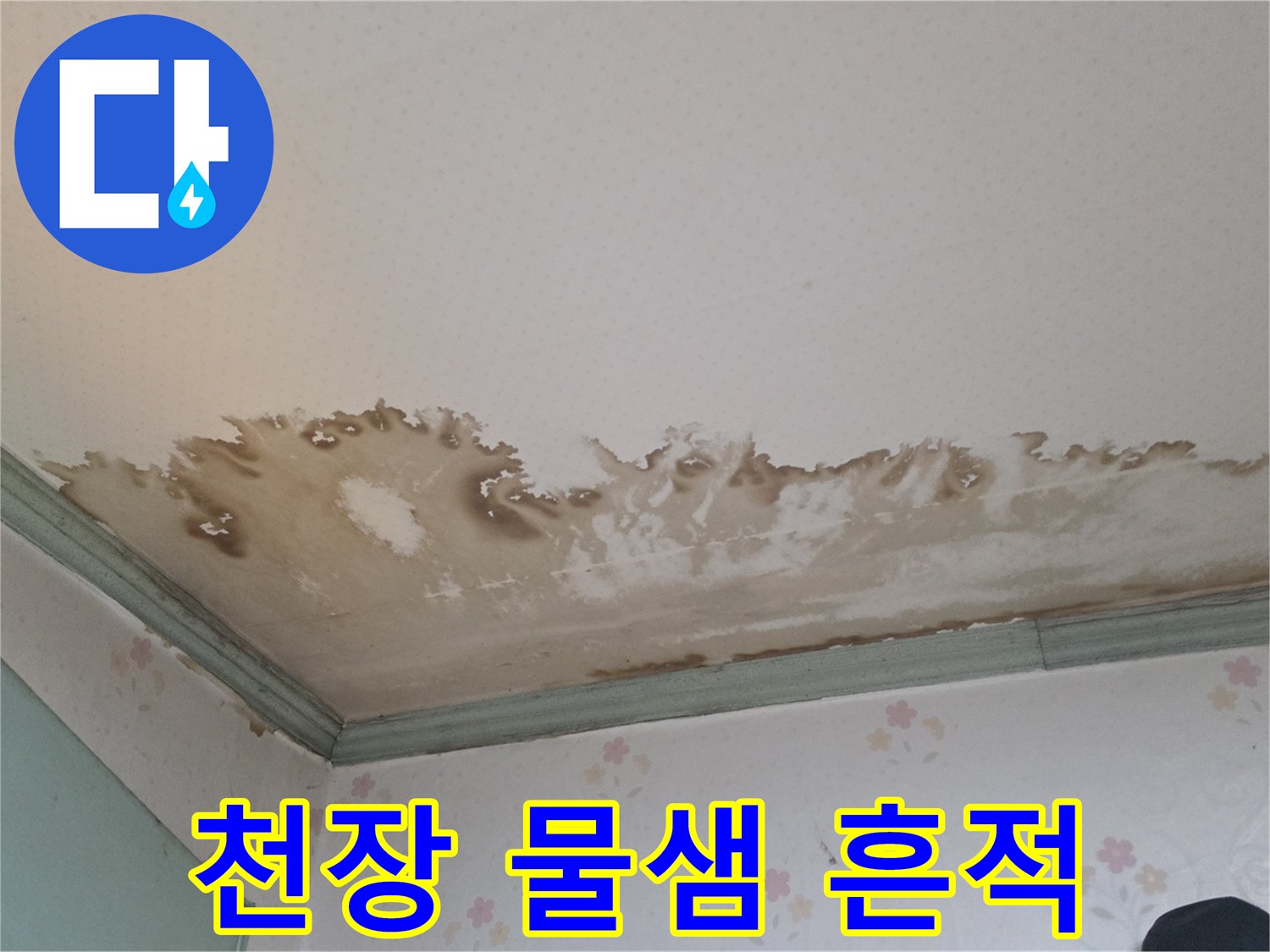 성북구 정릉동 현장-천장 몰딩 하단에 발생한 광범위한 누수 얼룩