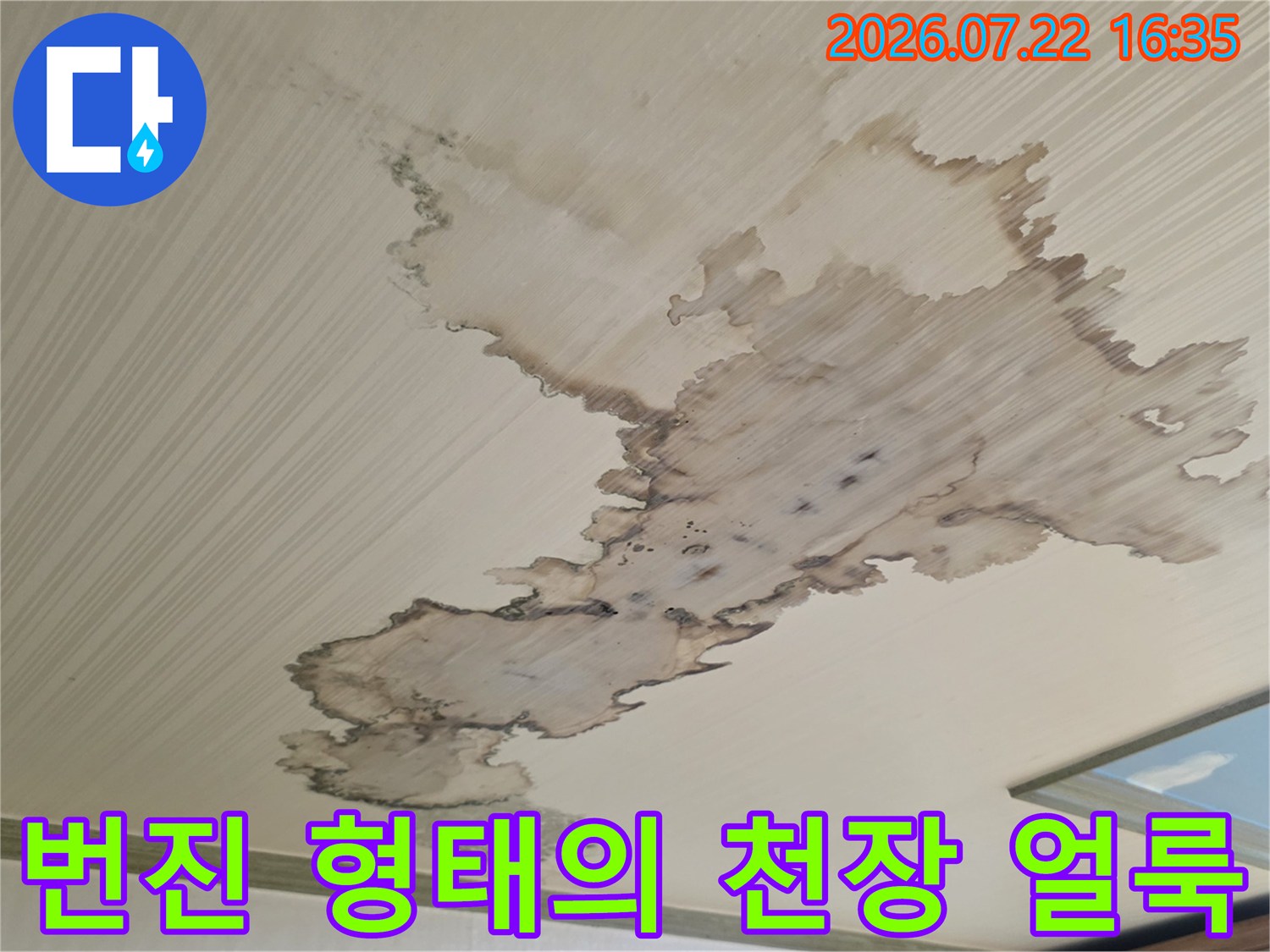 천장의 흰색 벽지에 갈색으로 넓게 번져나간 누수 흔적 사진