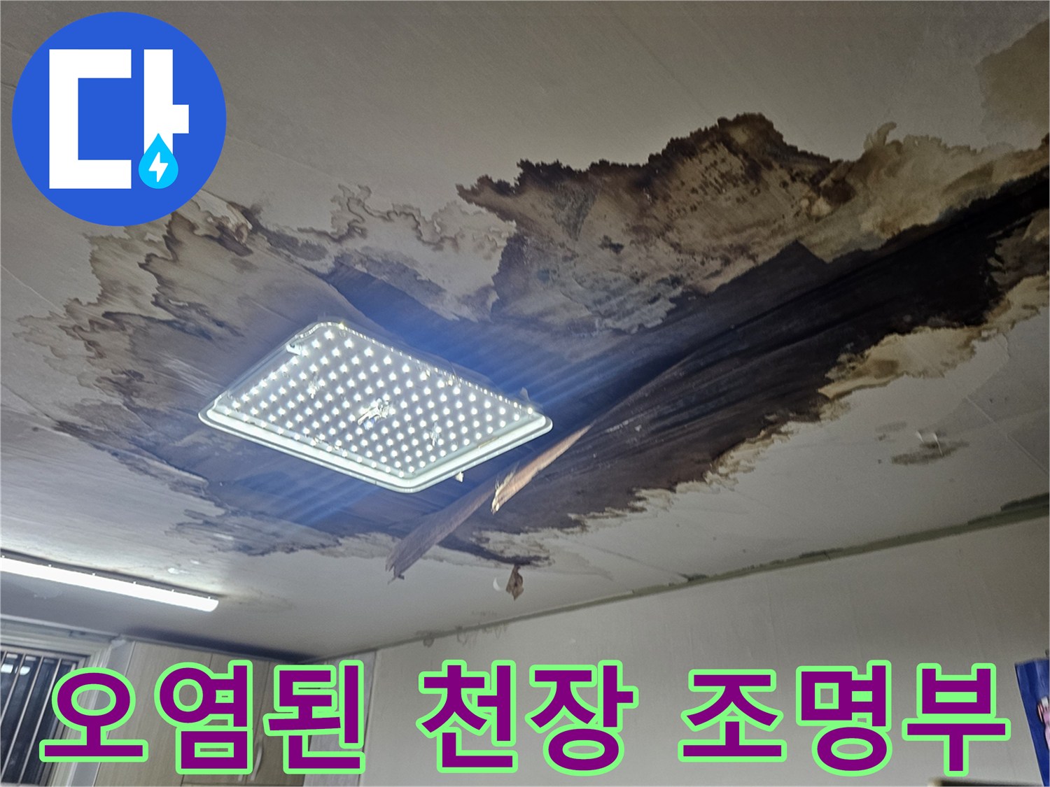 누수로 인해 검게 변색되고 훼손된 천장 조명 주변 부위입니다.
