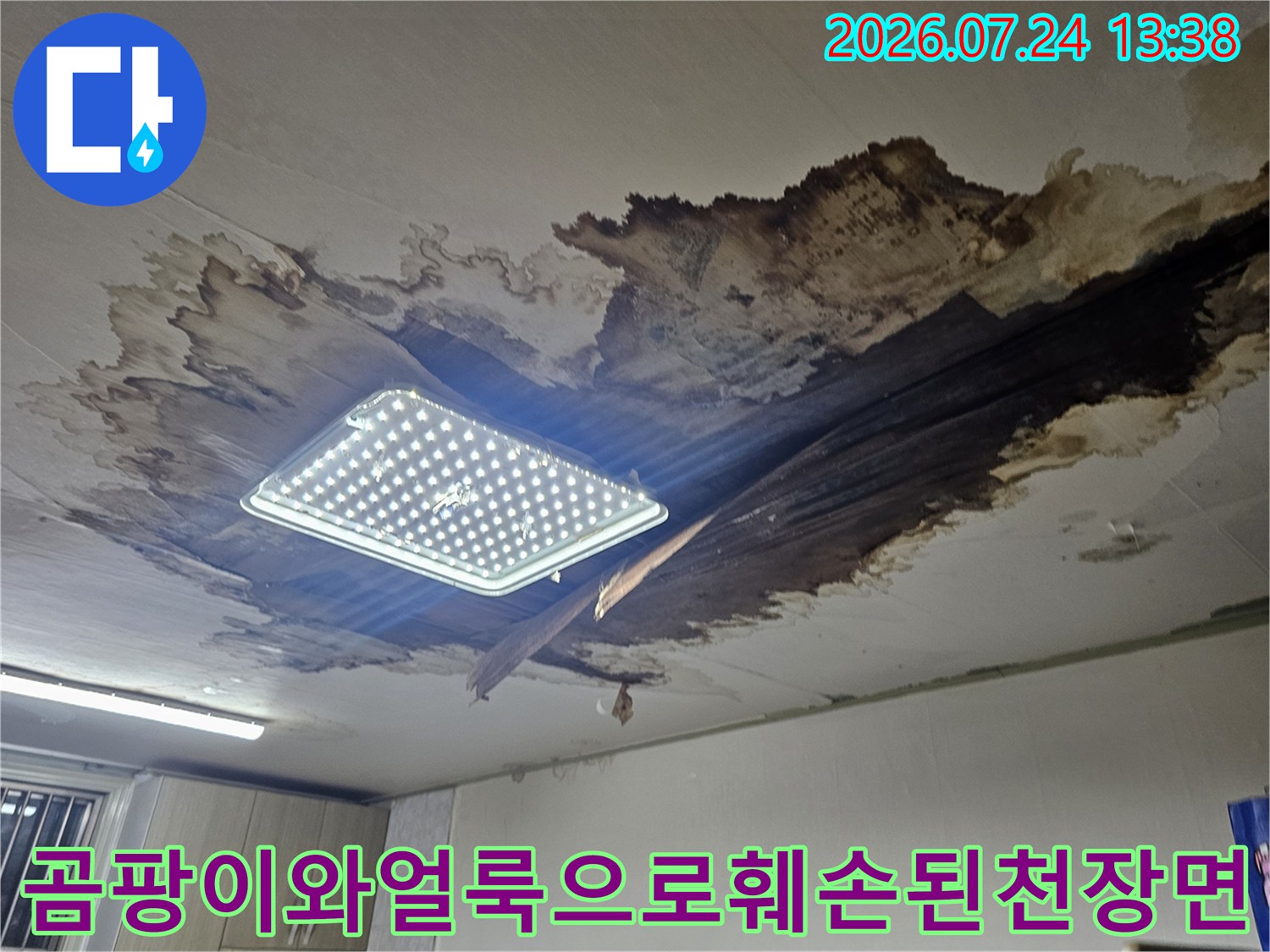 물에-젖어-검게-변하고-벗겨진-천장-마감재와-정사각형-매립등
