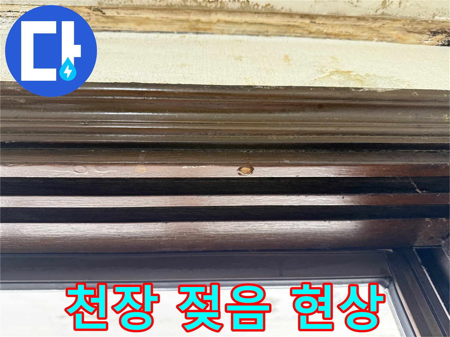 은평구 빌라-주방 천장 부위의 물샘 흔적과 곰팡이 상태