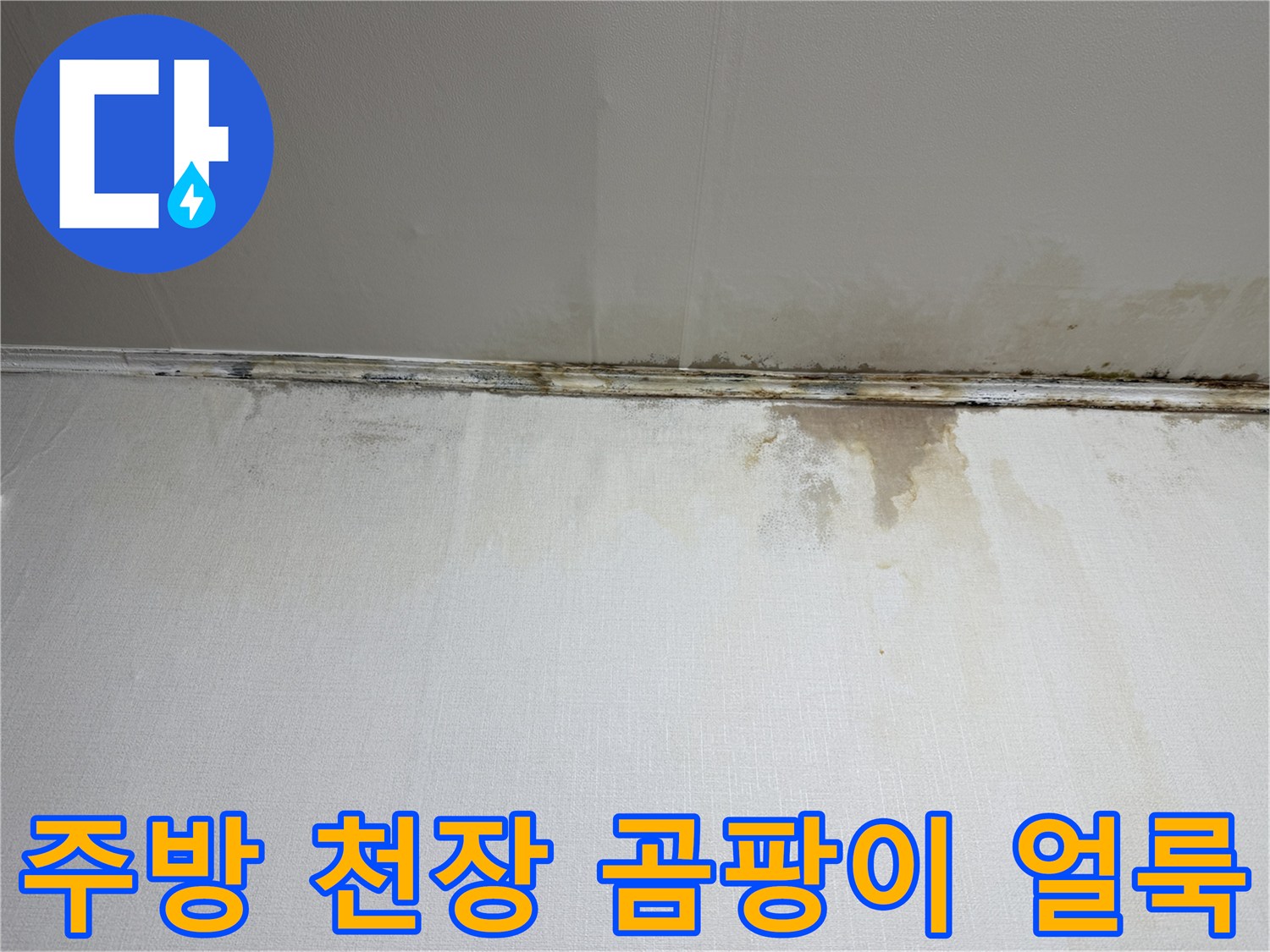 은평구 주방-천장 젖음 및 곰팡이 상태 사진