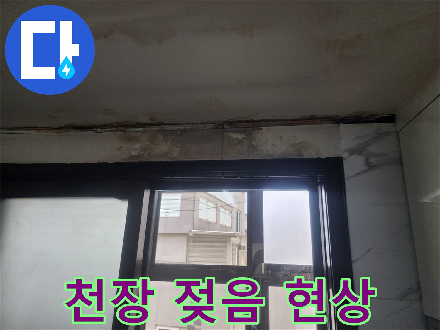 주방 천장의 물샘 흔적과 곰팡이 오염 부위