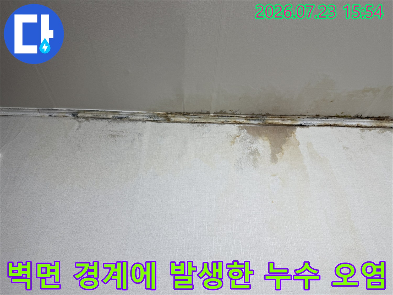 천장과 벽의 접합부 부근에 형성된 물때와 얼룩