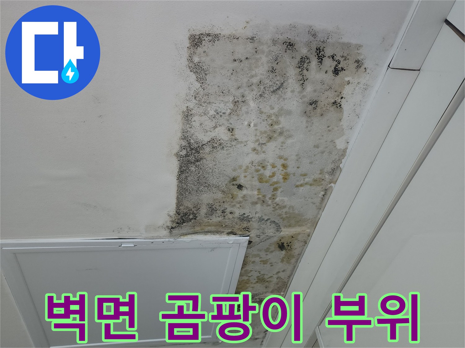 물샘 현상으로 인해 발생한 천장 벽면의 검은 곰팡이