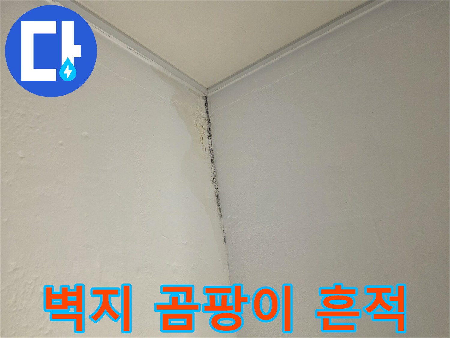벽면 모서리-곰팡이와 물자국이 남은 상태