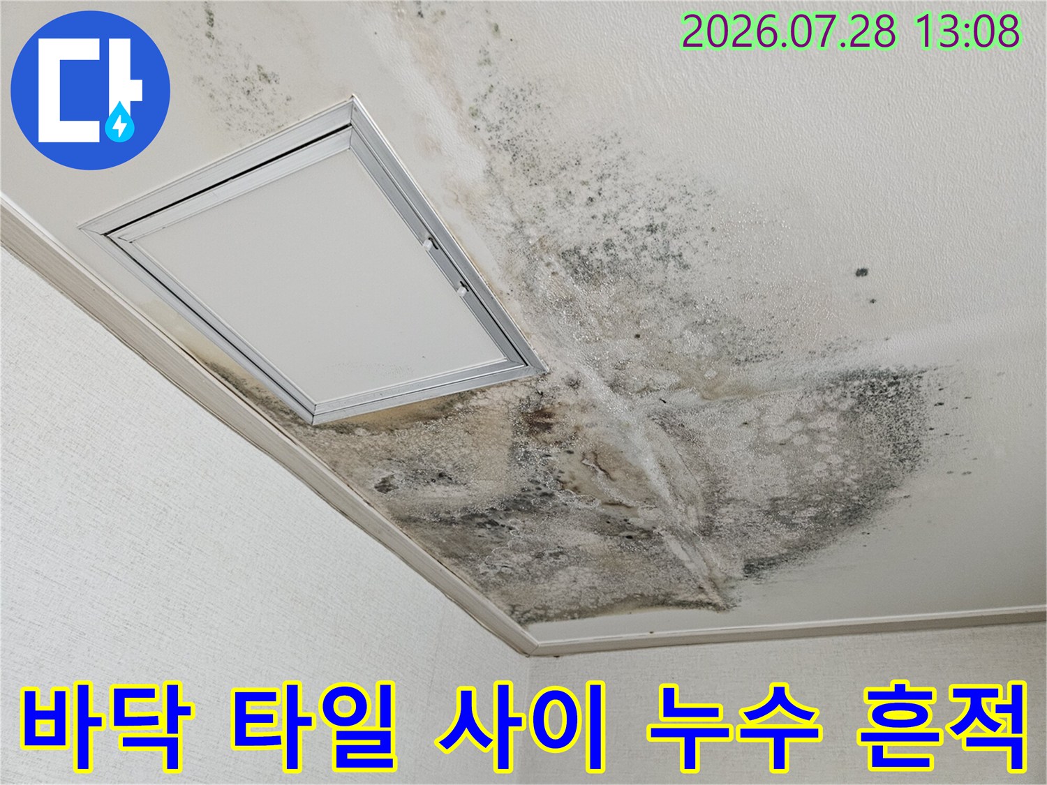 바닥면과 배수구 주변에 발생한 습기 및 곰팡이 오염 상태