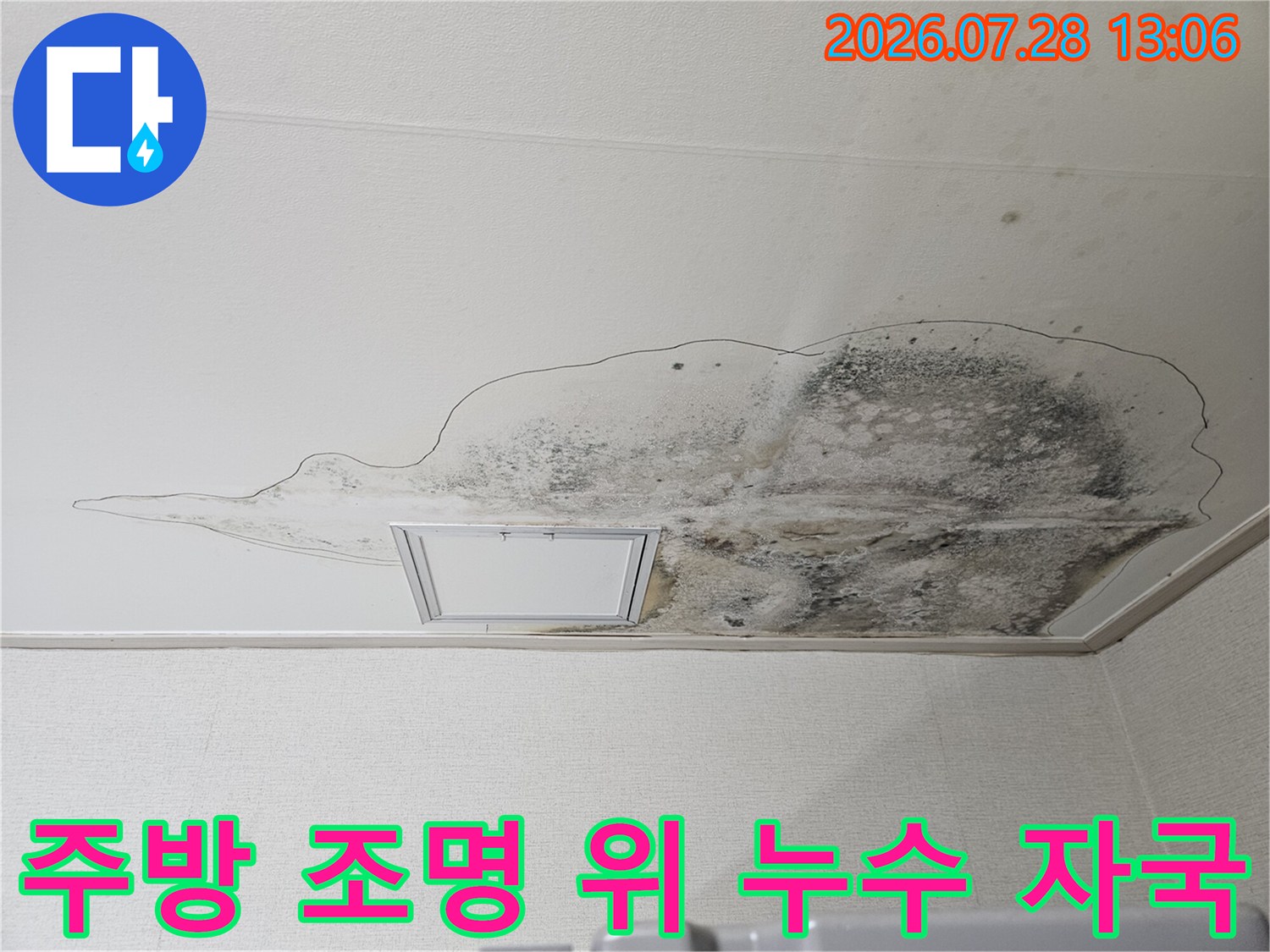 조명 주변을 중심으로 형성된 배수관 문제의 곰팡이 오염부위