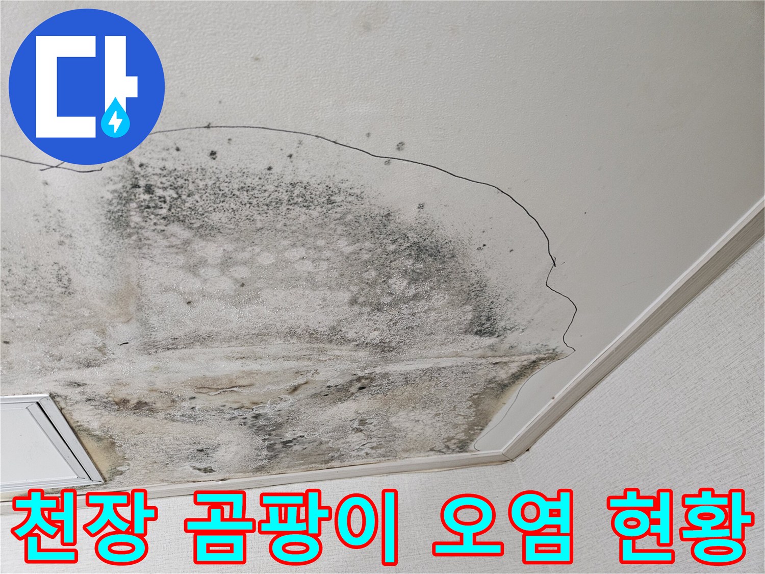 주방 천장-곰팡이가 심하게 번진 누수 피해 부위