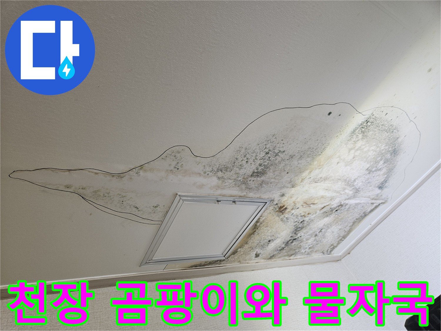 주방 천장에 나타난 광범위한 누수 흔적과 곰팡이 오염 부위