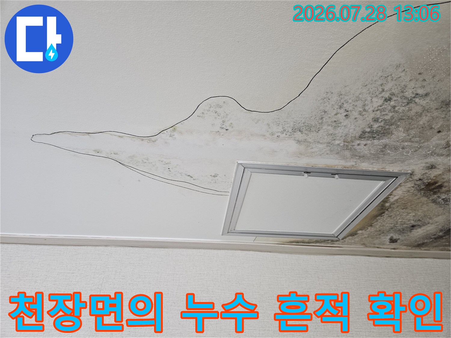 주방 천장의 누수 경로와 곰팡이 발생 부위 촬영
