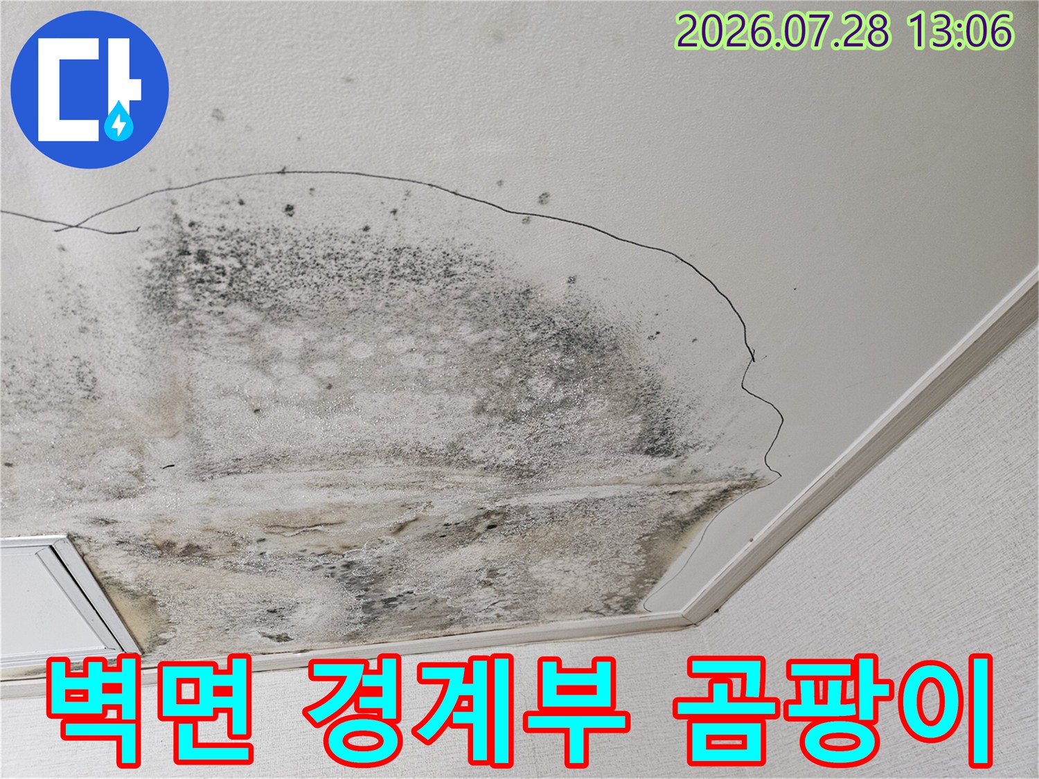 천장 마감재 변색과 곰팡이가 동반된 누수 피해 현황 사진