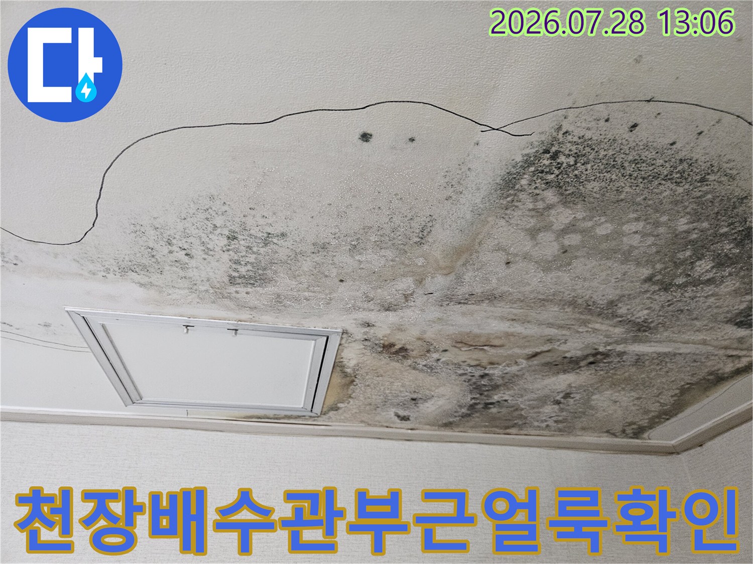 천장 마감재에 비친 누수 흔적과 곰팡이 발생 부위