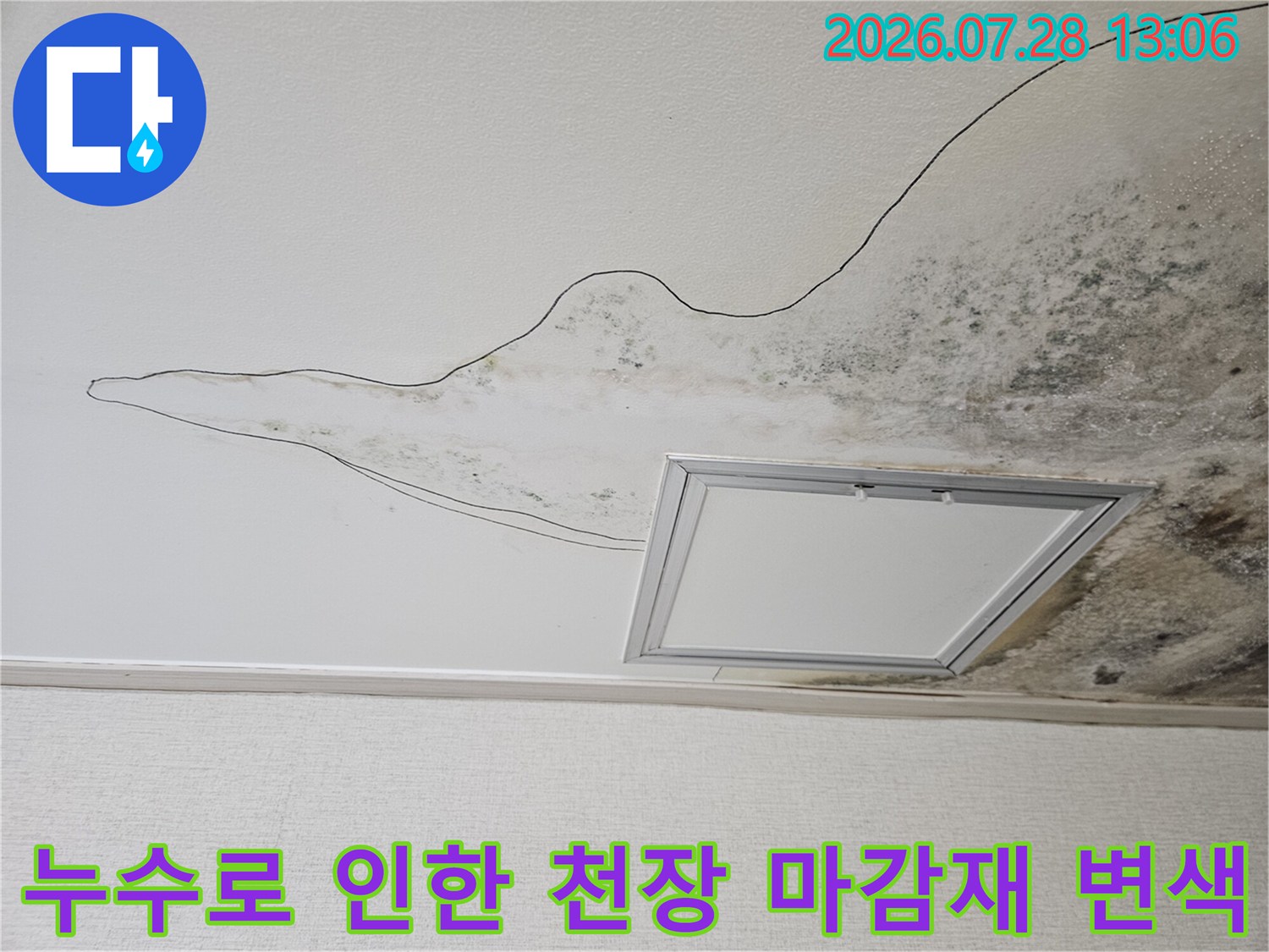 천장 배수구 인근에 형성된 광범위한 곰팡이와 누수 얼룩