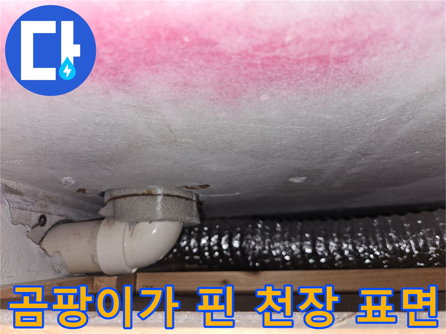천장-슬래브-표면의-분홍색-곰<0xAE>팡이-및-배관-구조