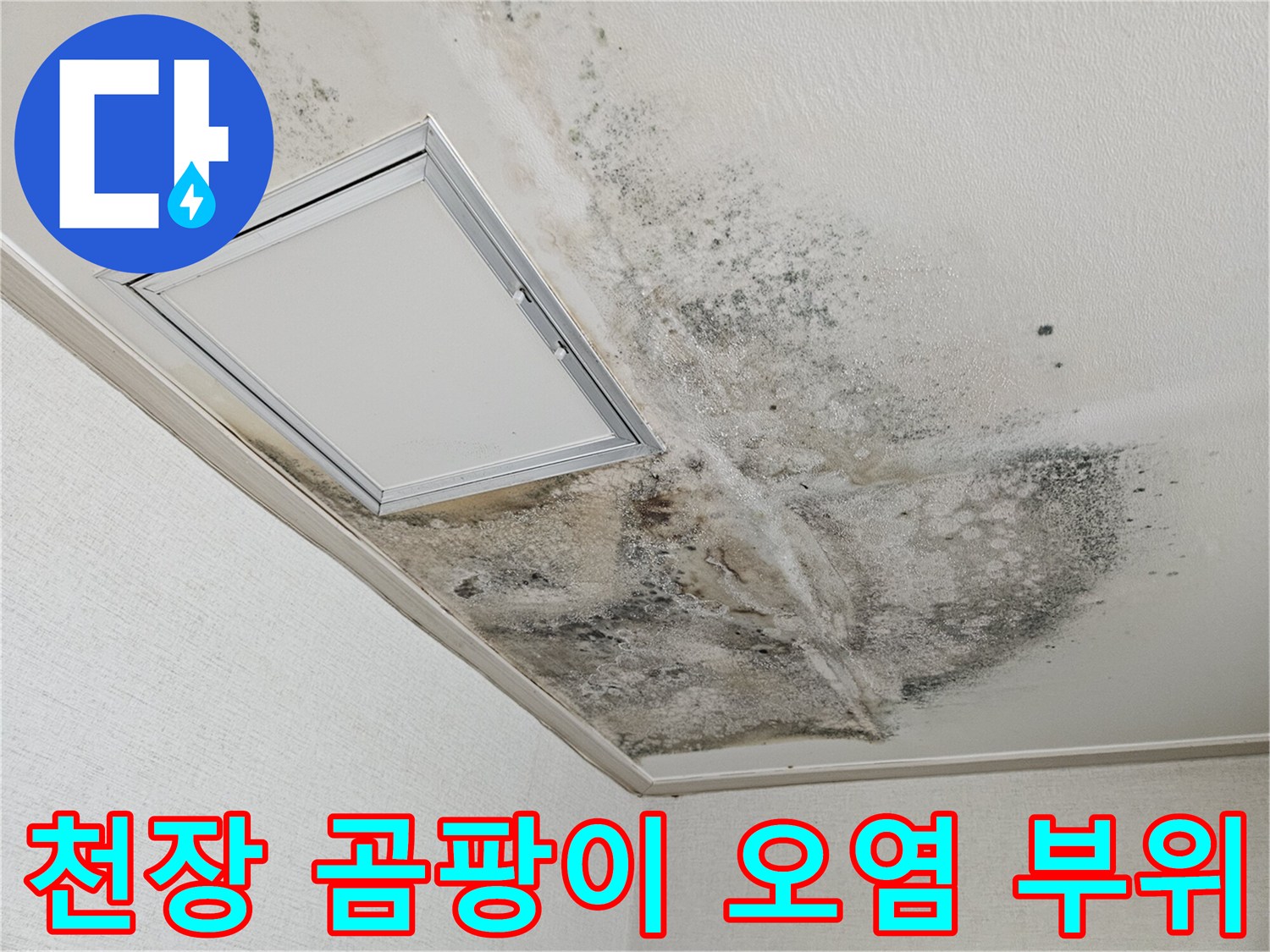 흰색 천장 마감재에 발생한 광범위한 검은색 곰팡이 흔적
