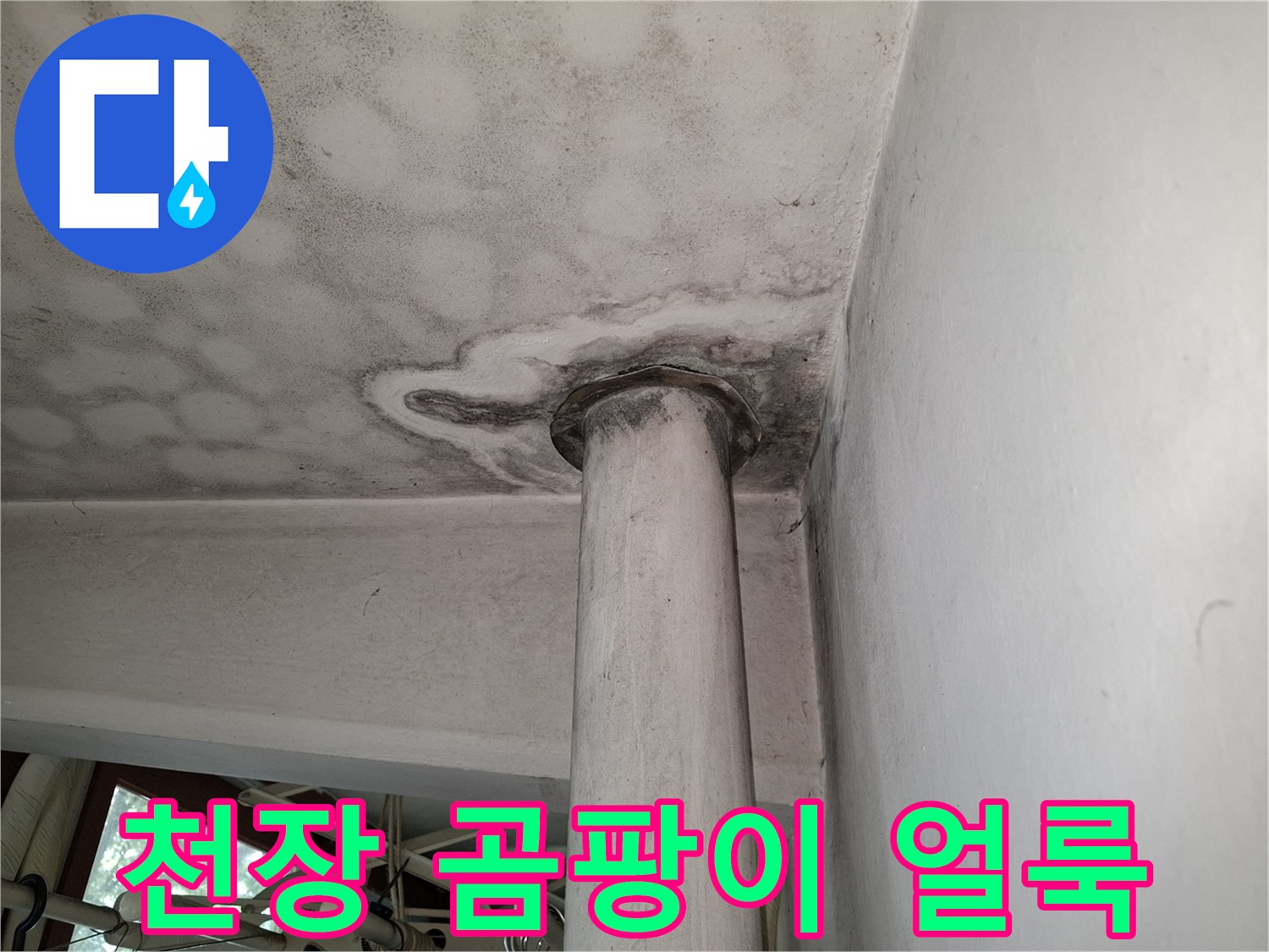 기둥 근처 천장 마감재에 나타난 누수 및 곰팡이 흔적