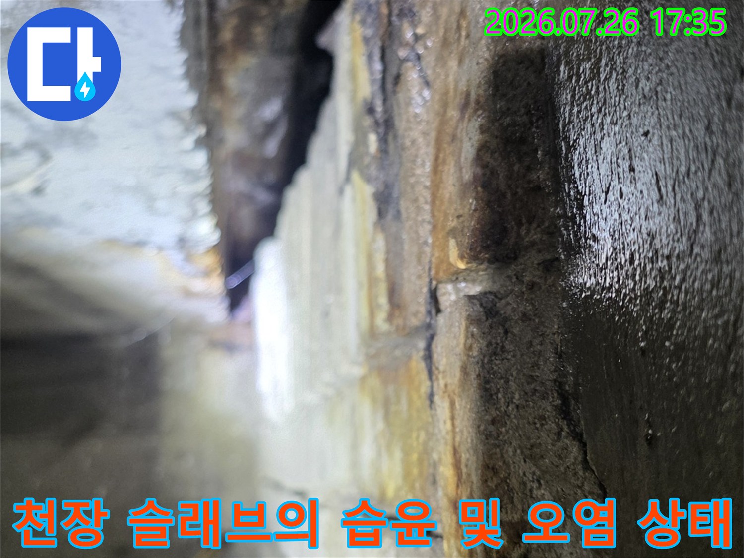 물기가 배어 나와 눅눅하게 변한-천장 콘크리트-슬래브 표면