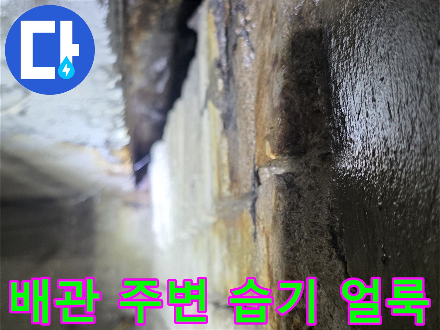 배관-주변-콘크리트-슬래브-습기-침투-흔적