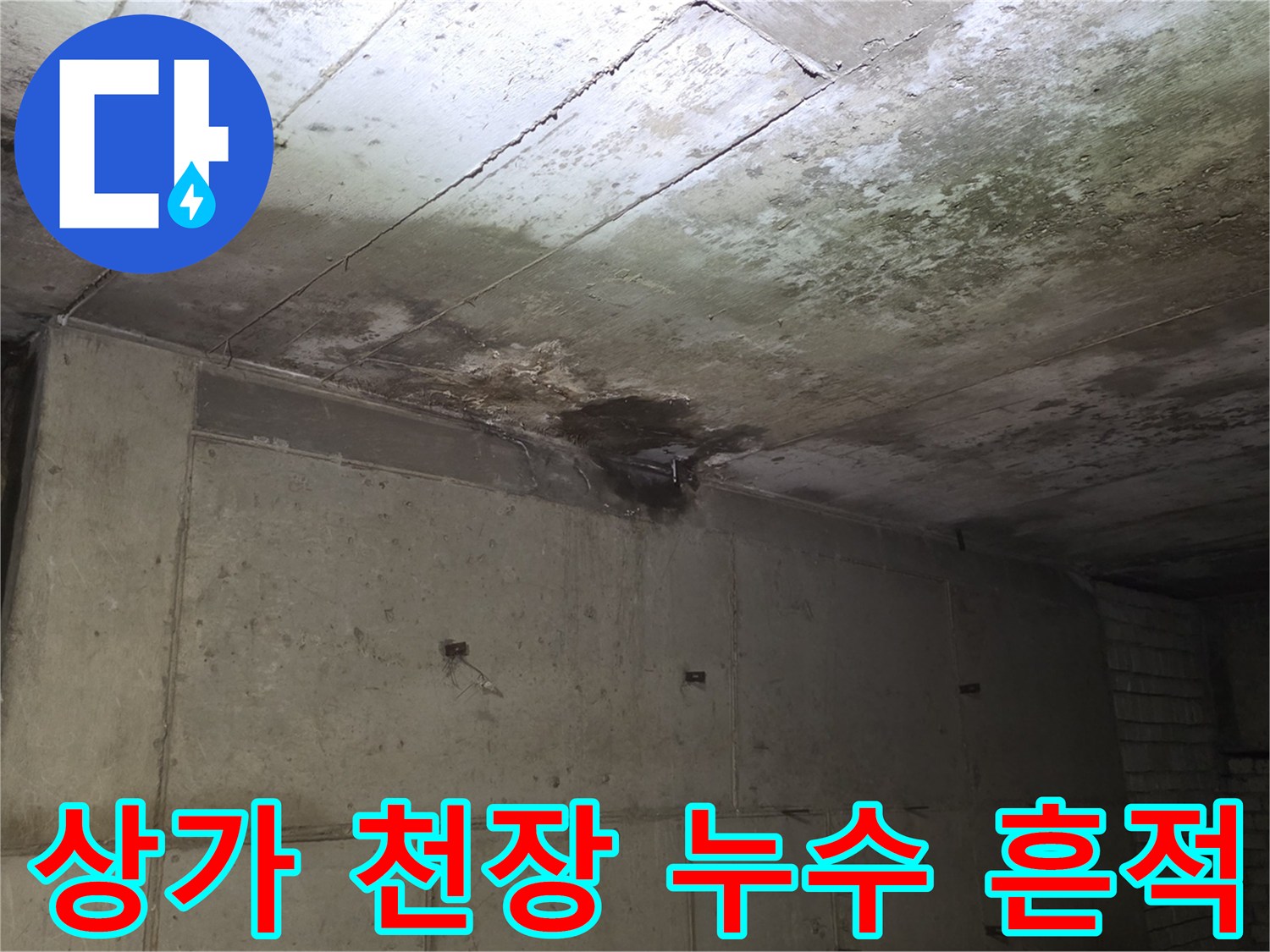 분당 수내동 상가 천장 슬래브의 곰팡이와 물샘 흔적