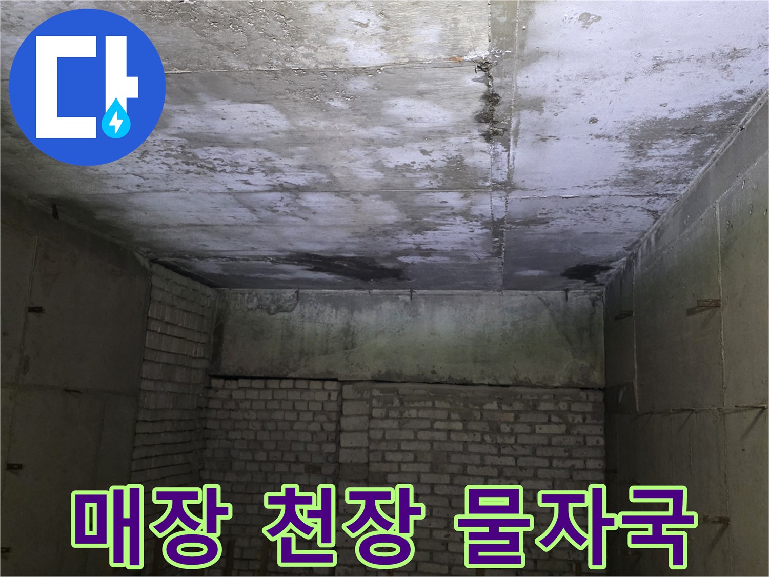 천장 슬래브 곳곳에 나타난 누수 피해 흔적들