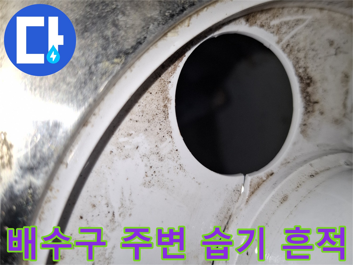 다용도실 배수관 입구-주변의 젖은 흔적과 오염 확인
