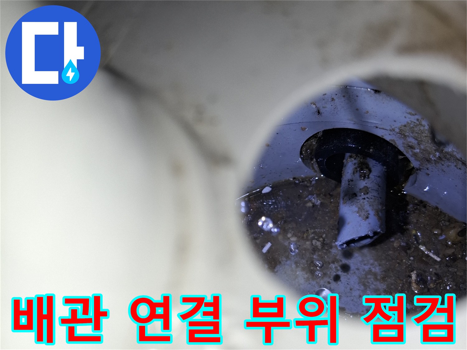 세탁실 배수관-연결 부위의 습기 및 이물질 상태