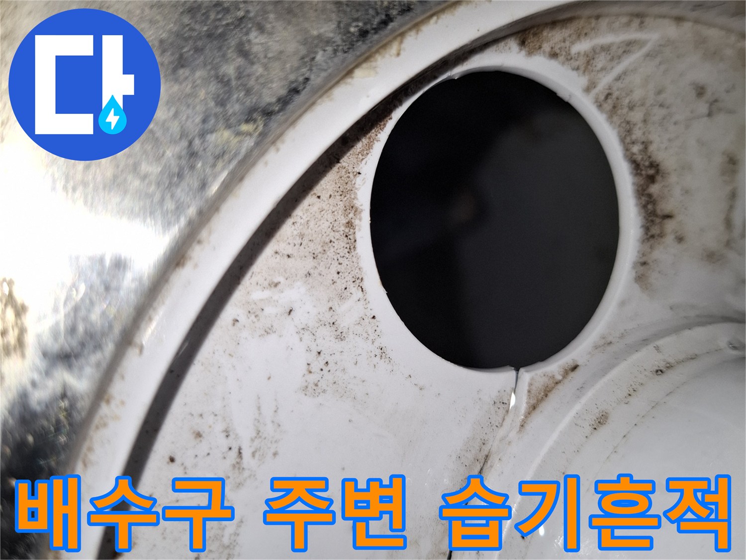 세탁실-배수구-주변의-검게-변한-물때와-습기