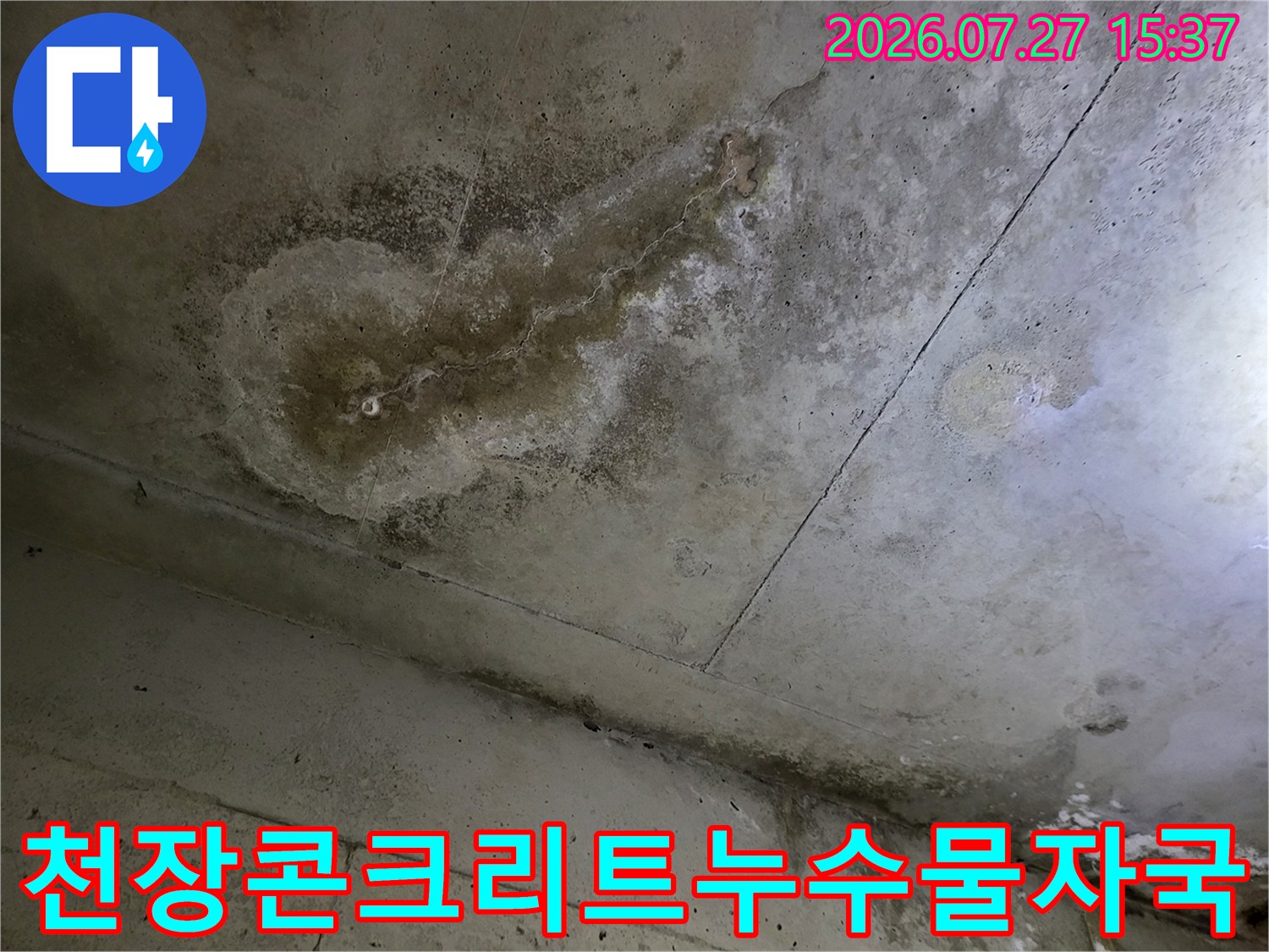 누수로-인해-습기가-차고-곰팡이가-피어난-화장실-천장의-상태-사진