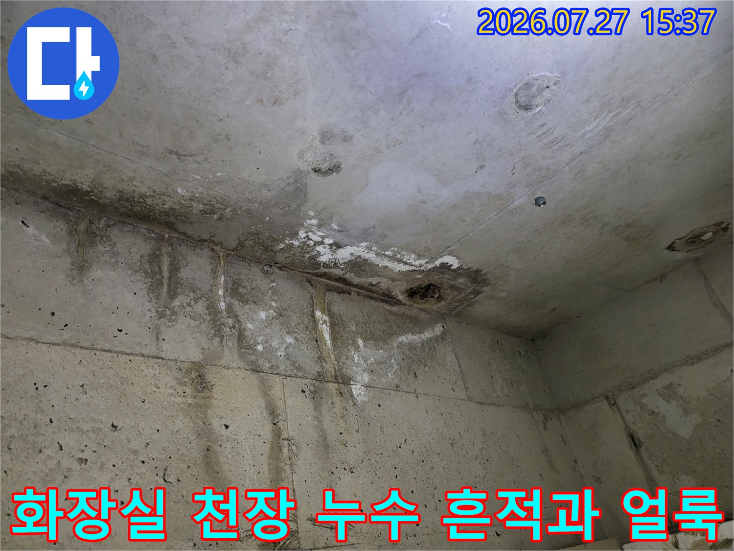 콘크리트 천장에서 아래로 물이 흘러내린 자국-과 함께 곰팡이가 발생한 누수 피해 현장 사진
