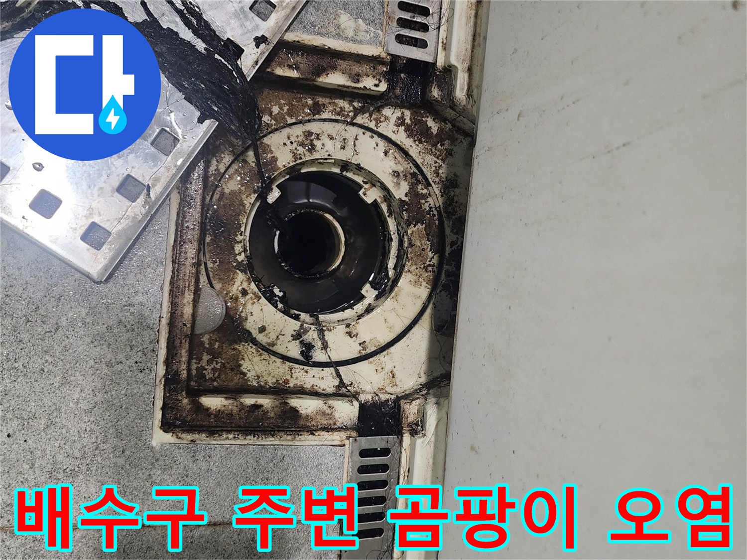 욕실-바닥-배수구-주변의-검은색-오염물질