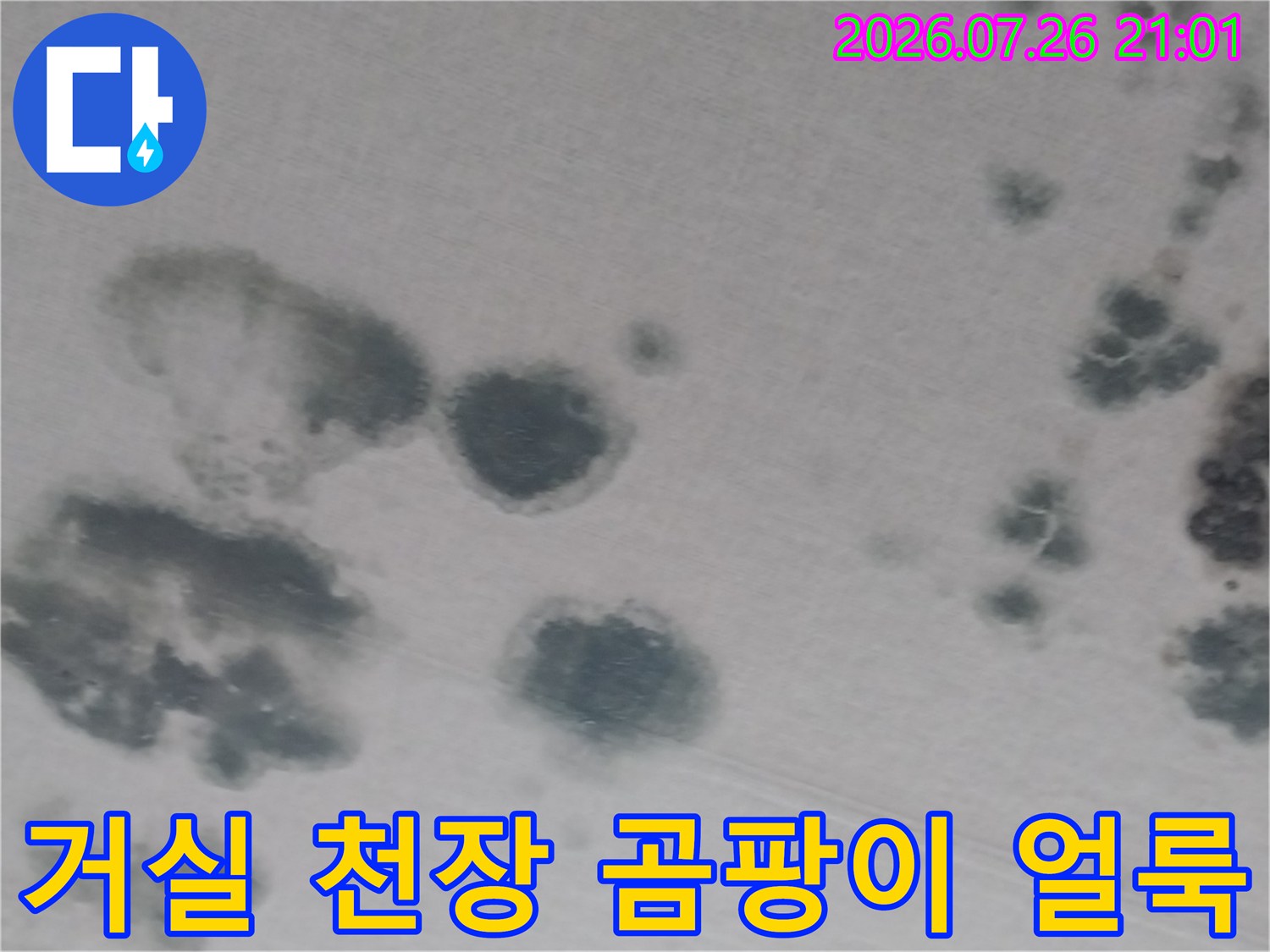 거실 천장에 발생한 검은색 곰팡이와 누수 흔적