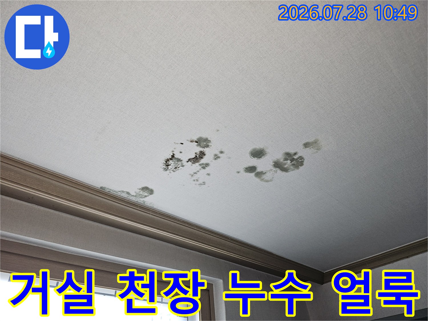 거실 천장에 발생한 곰팡이와 물자국 흔적