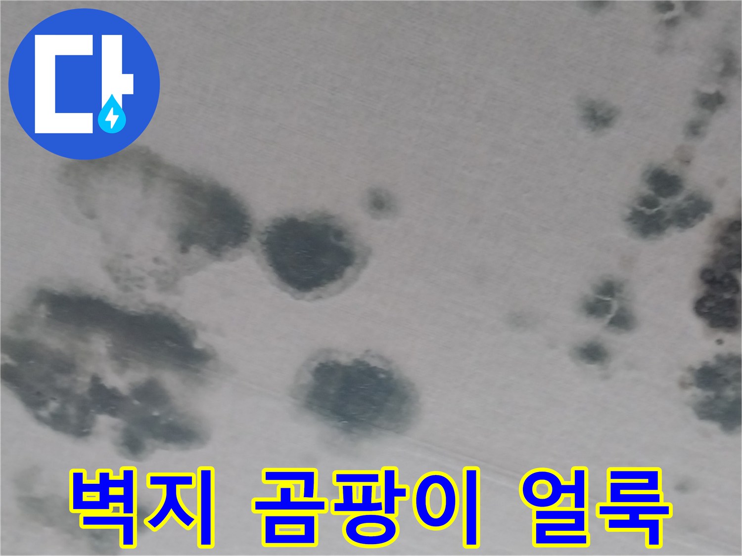 상가주택 내부 천장 벽지 곰팡이 및 누수 흔적