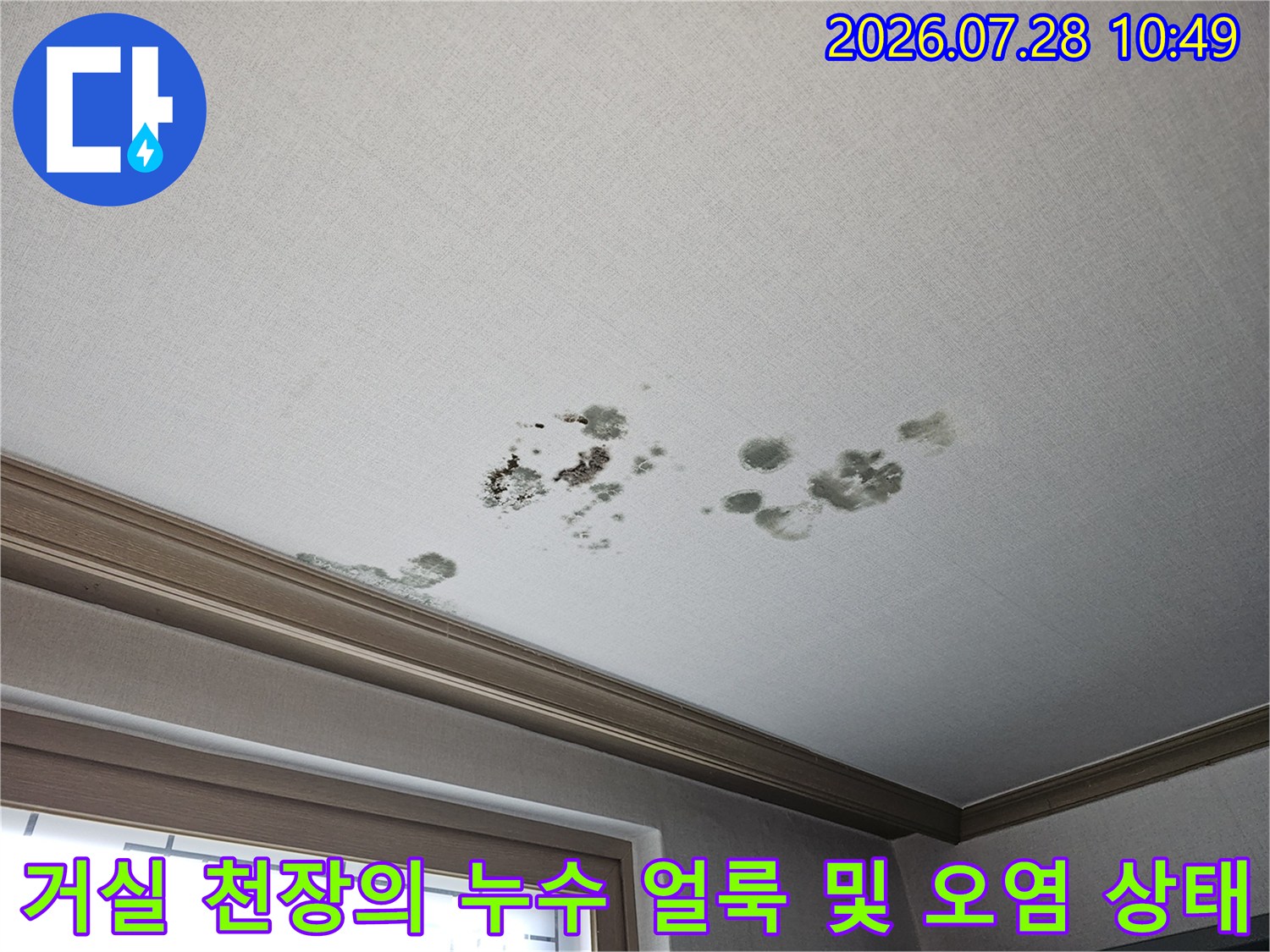 천장 마감재에 형성된 다수의 곰팡이와 물 자국