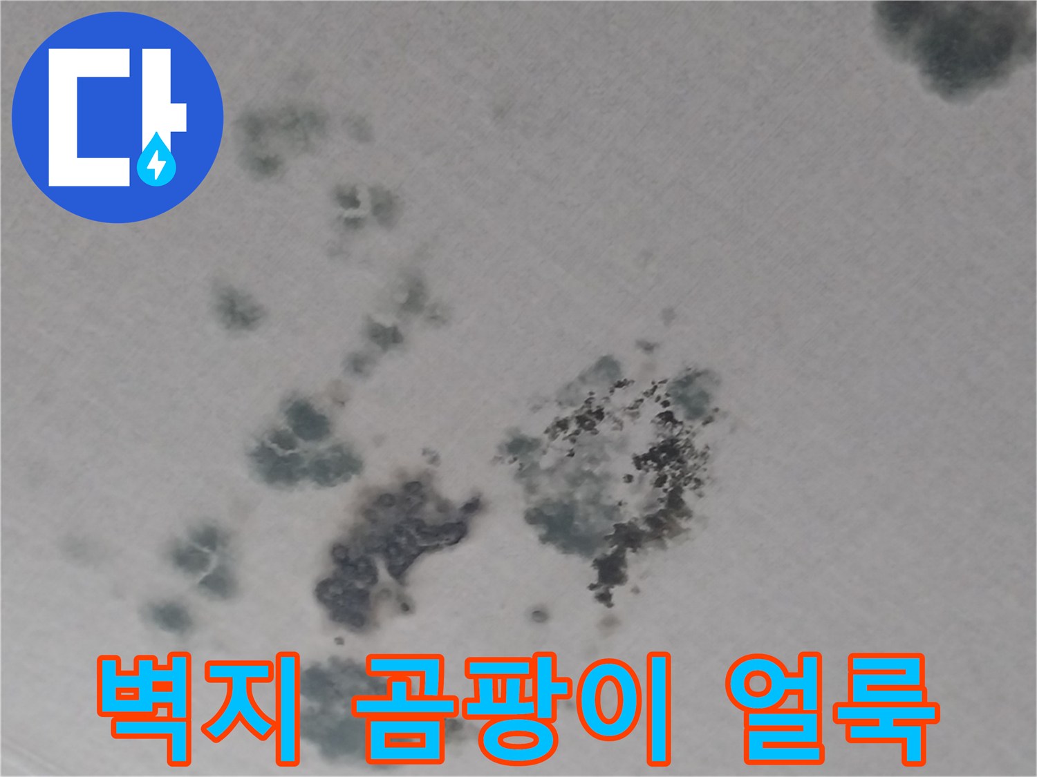 천장-벽면-곰팡이-및-누수-오염-부위