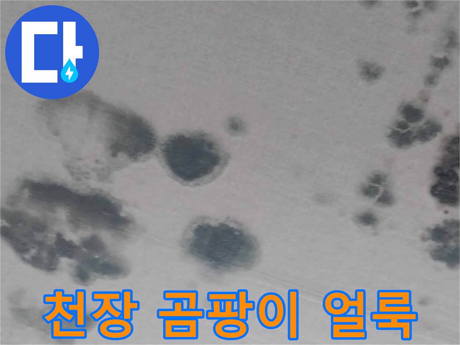 화성 동탄 거실 천장 벽지 젖음 및 곰팡이 흔적