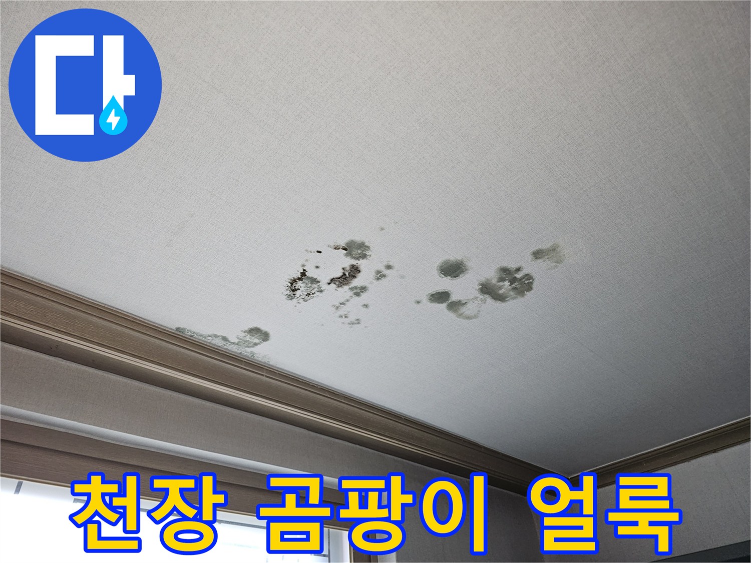 화성 동탄 상가주트 천장 벽지 곰팡이 및 누수 흔적 사진