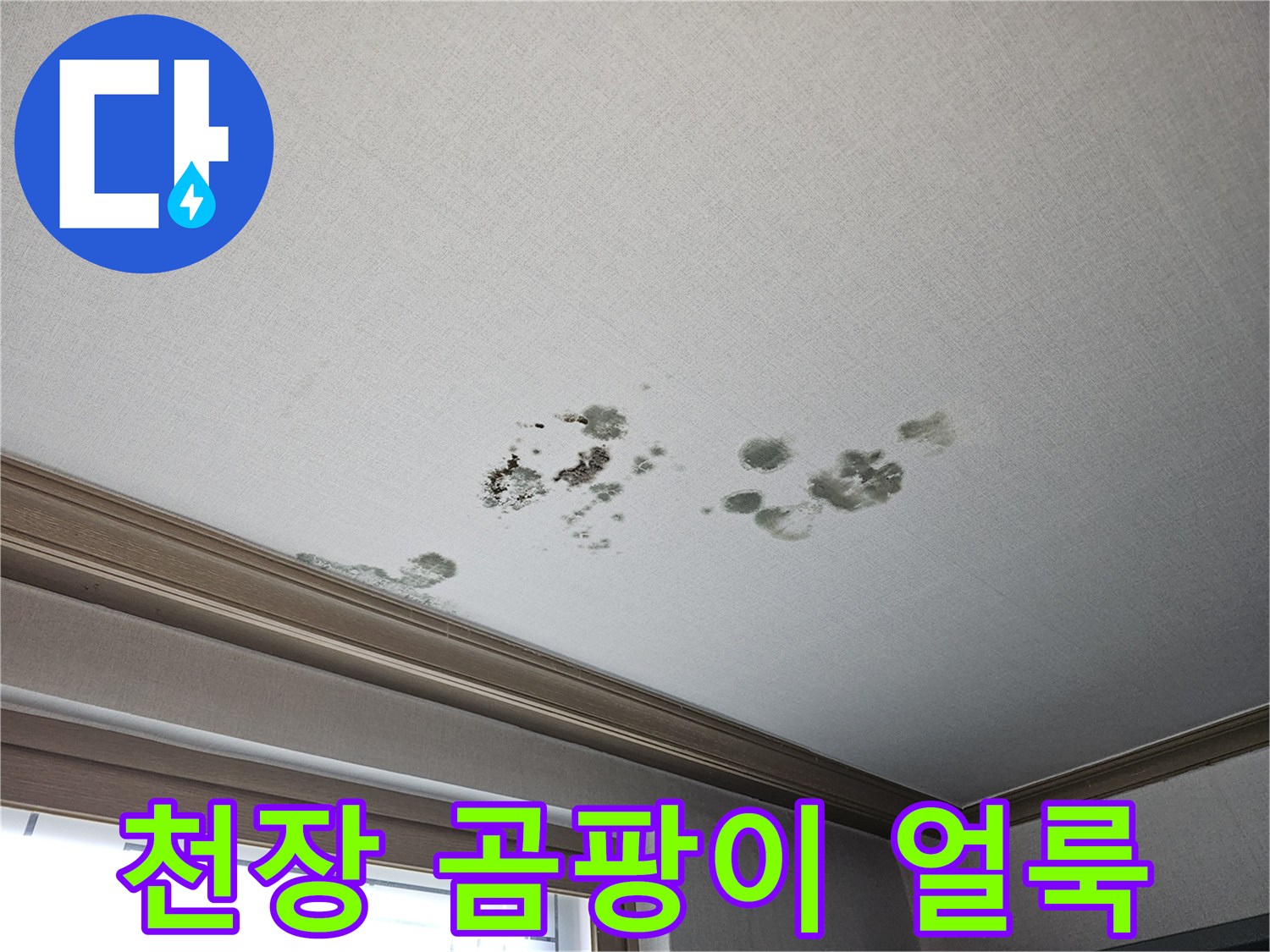 화성 동탄 상가주현 거실 천장의 곰팡이와 물자국 현황