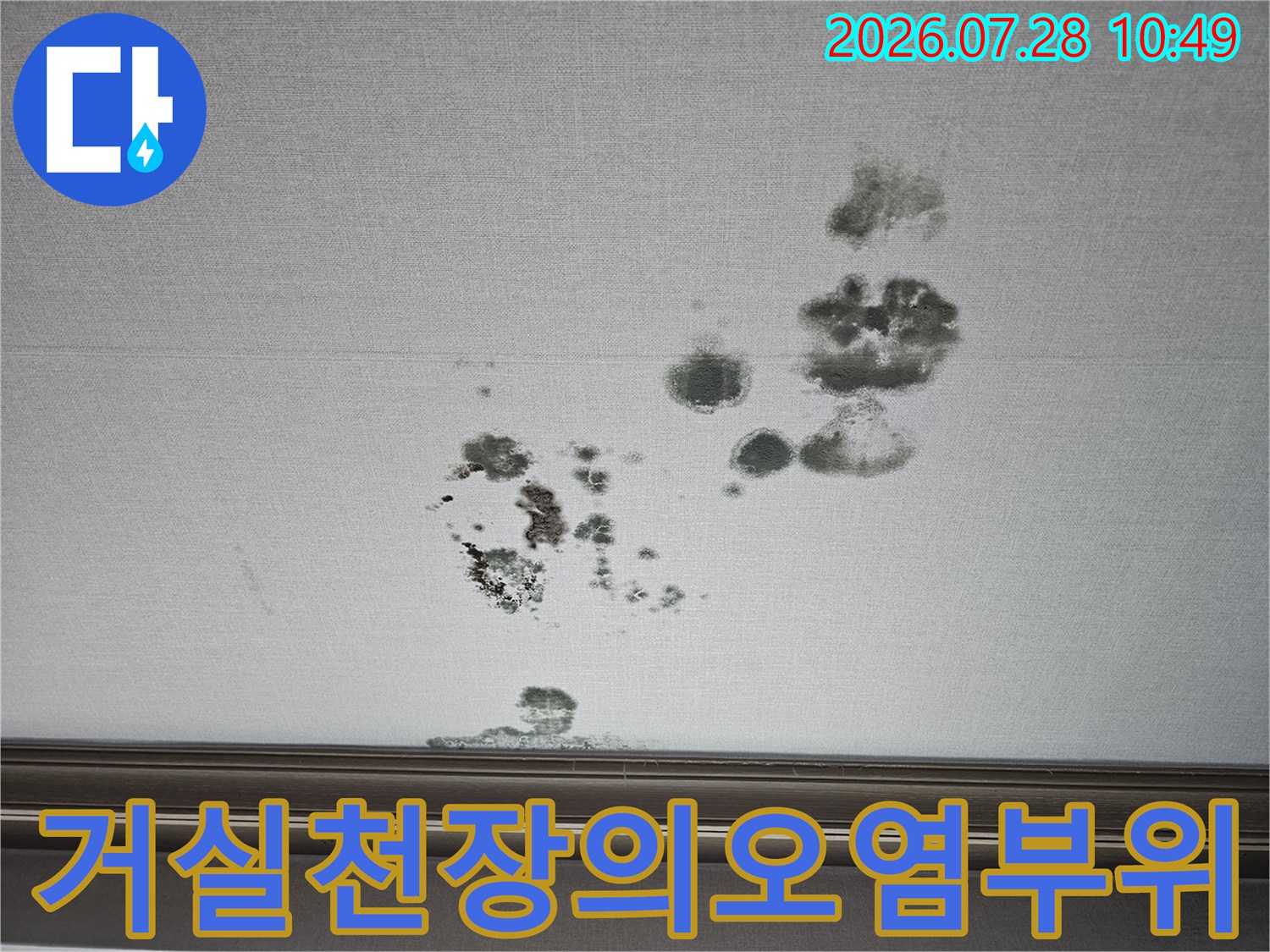 흰색 천장면 위로 번진 불규칙한 모양의 누수 얼룩