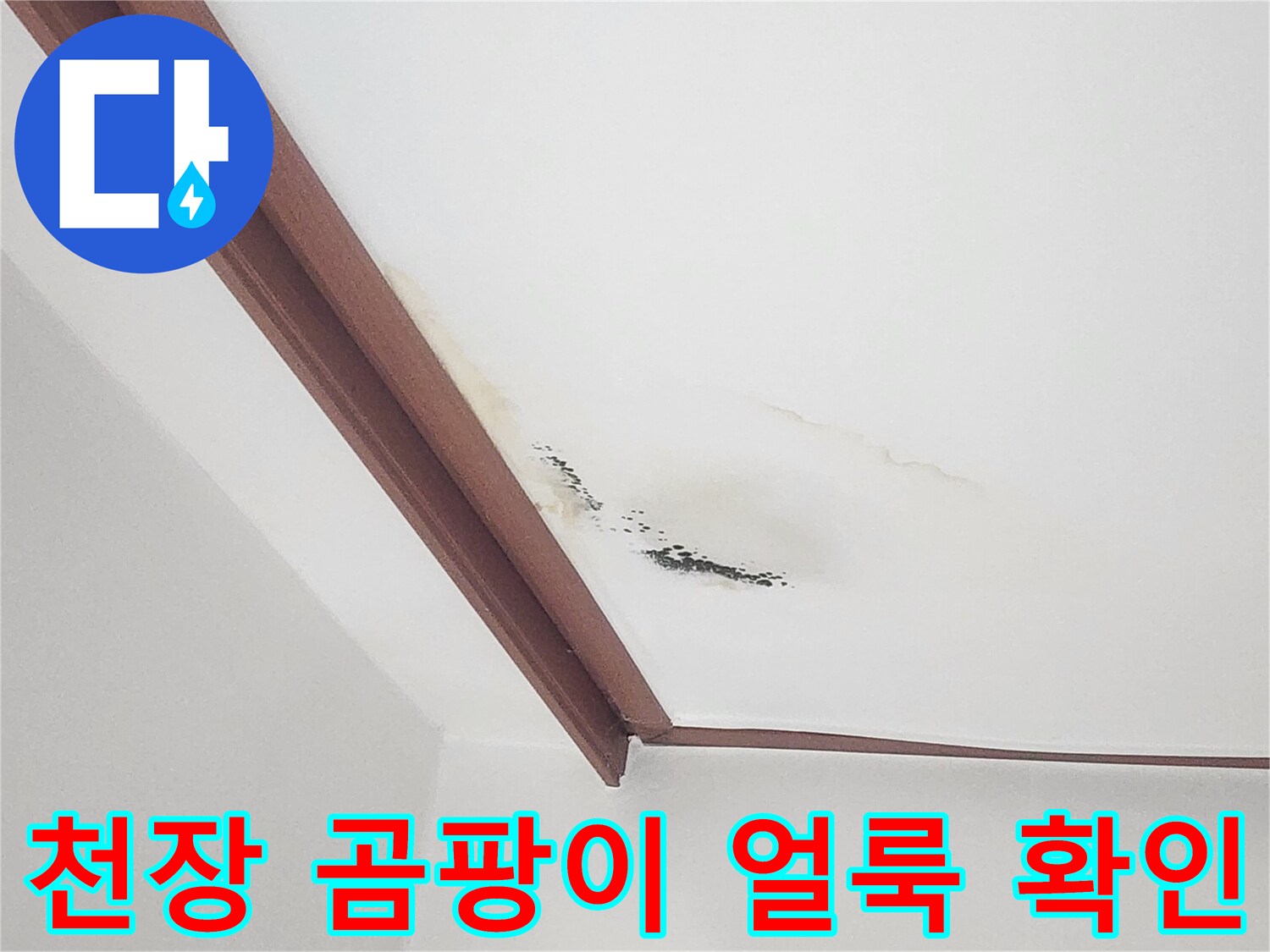 거실 천장 몰딩 부근의 누수 흔적과 곰팡이 번짐