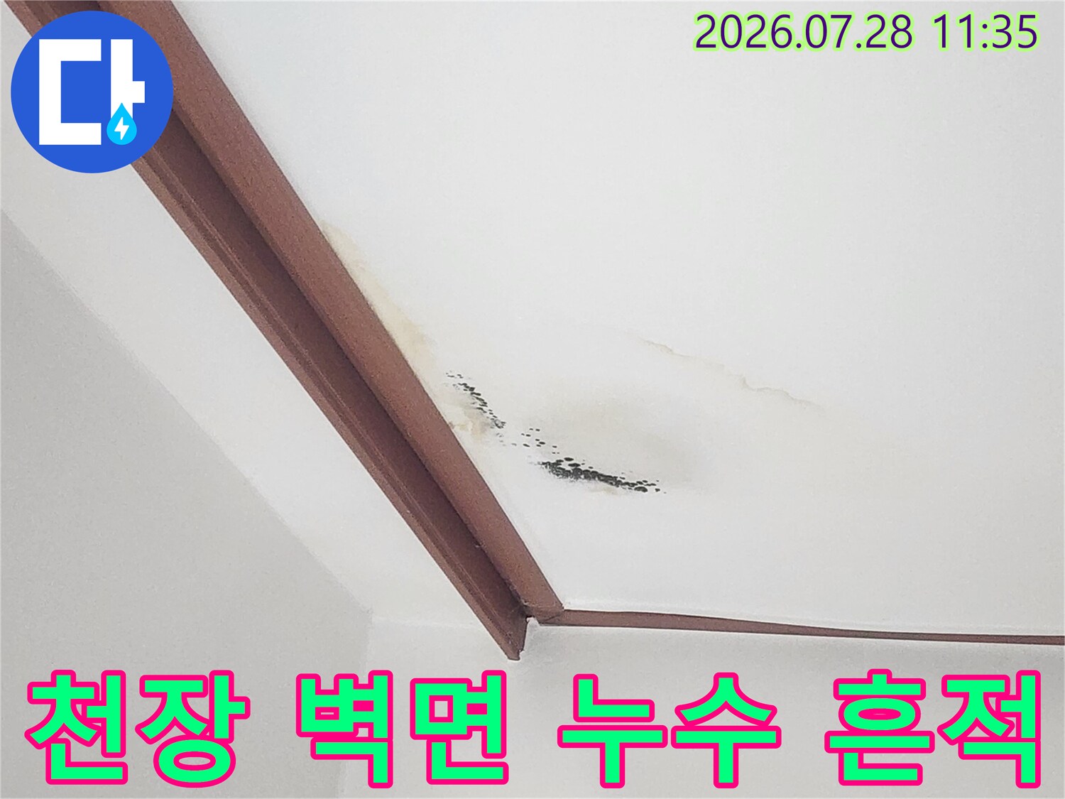 거실 천장 몰딩과 인접한 위치의 물자국 및 곰팡이