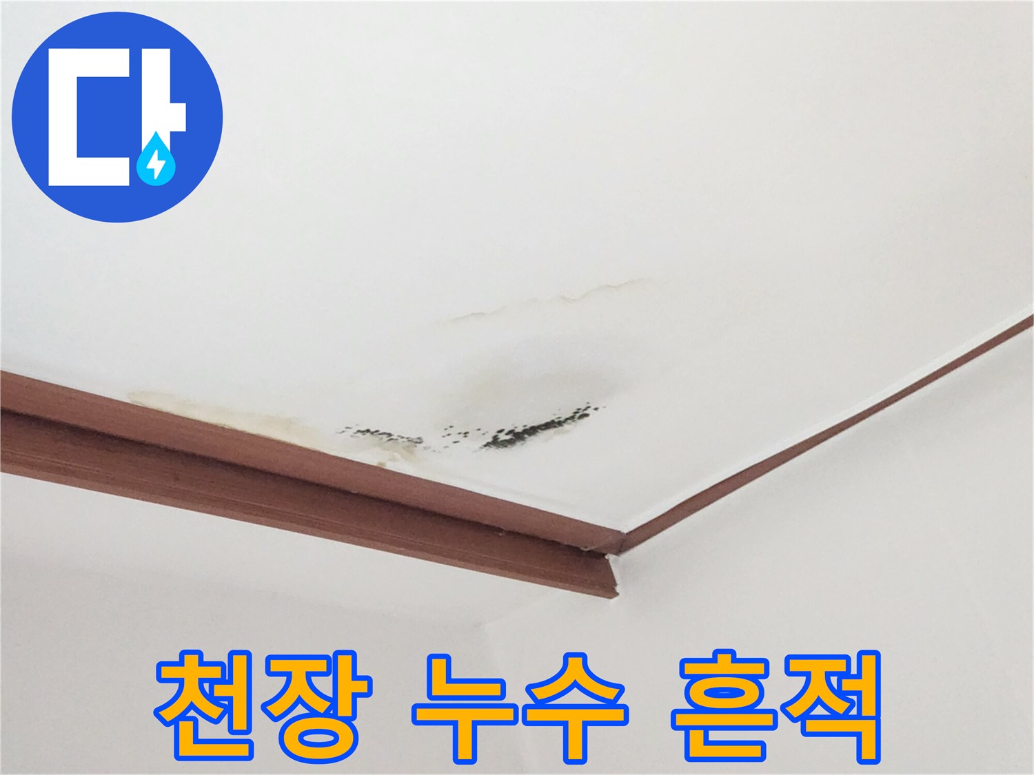 거실-천장-부분적인-물자국과-곰팡이-발생