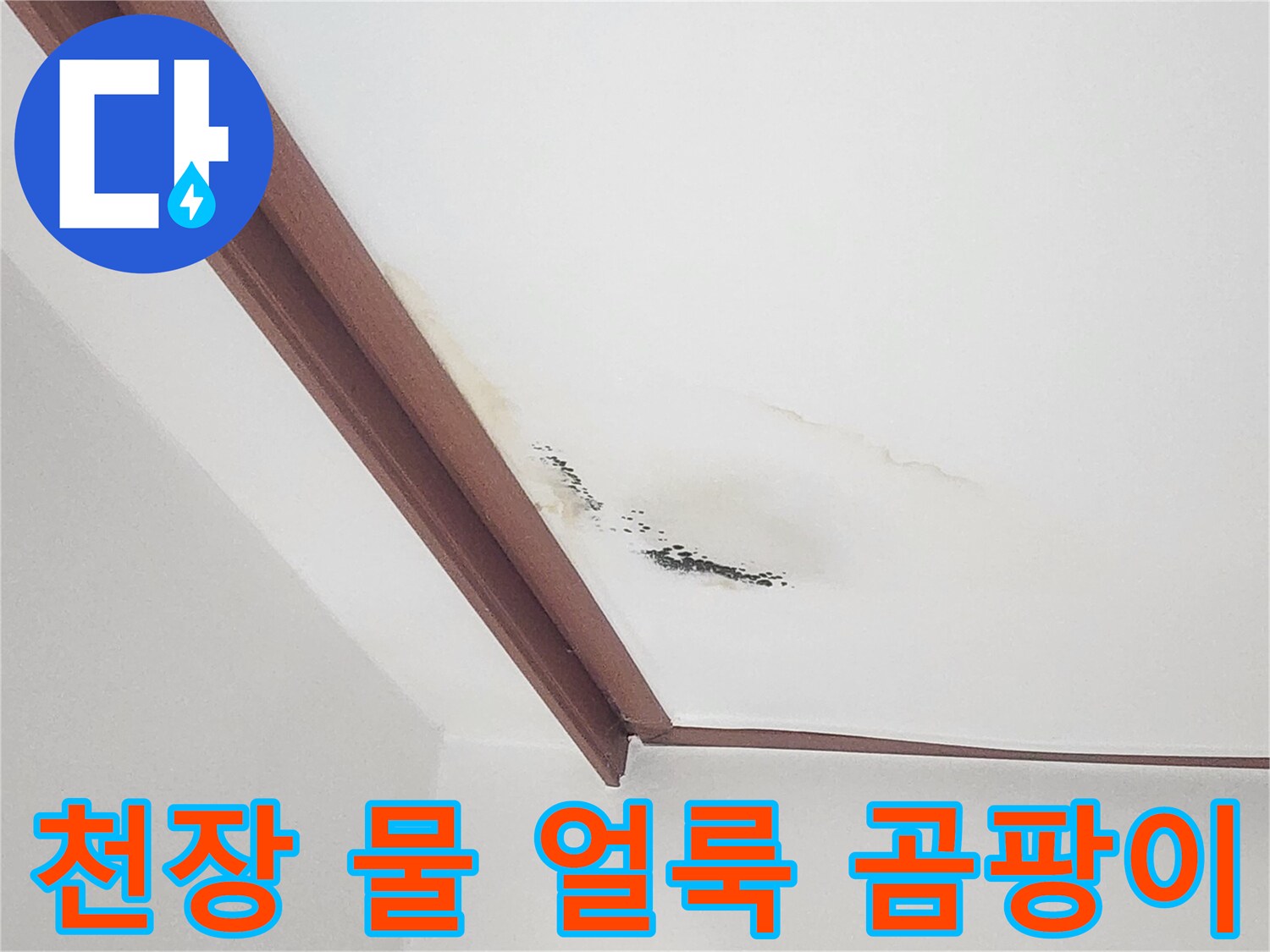 누수로 인해 변색되고 곰팡이가 생긴 거실 천장 부위