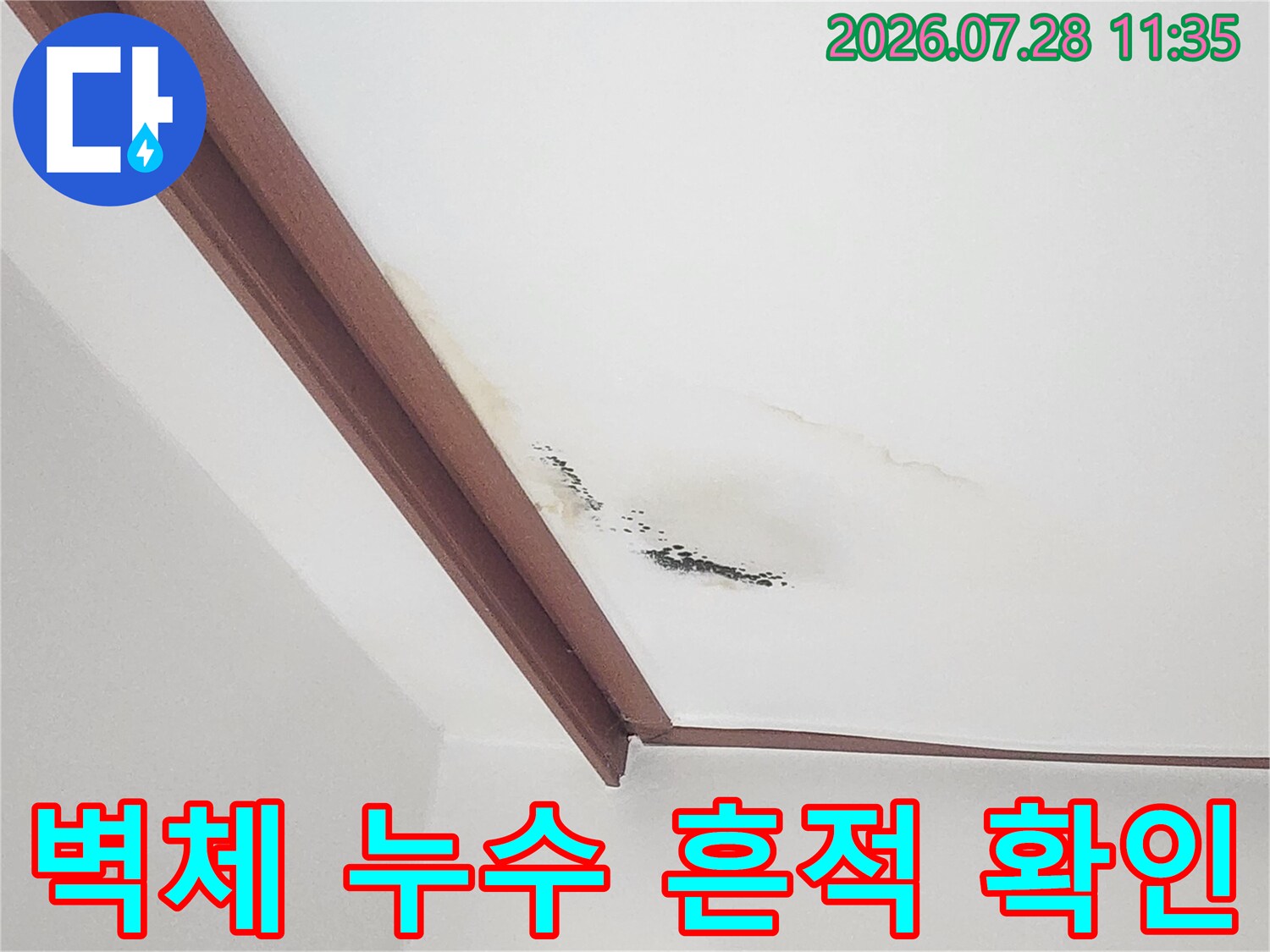 벽면과 몰딩 경계에서 발생한 곰팡이 및 물의 흐름에 의한 얼룩